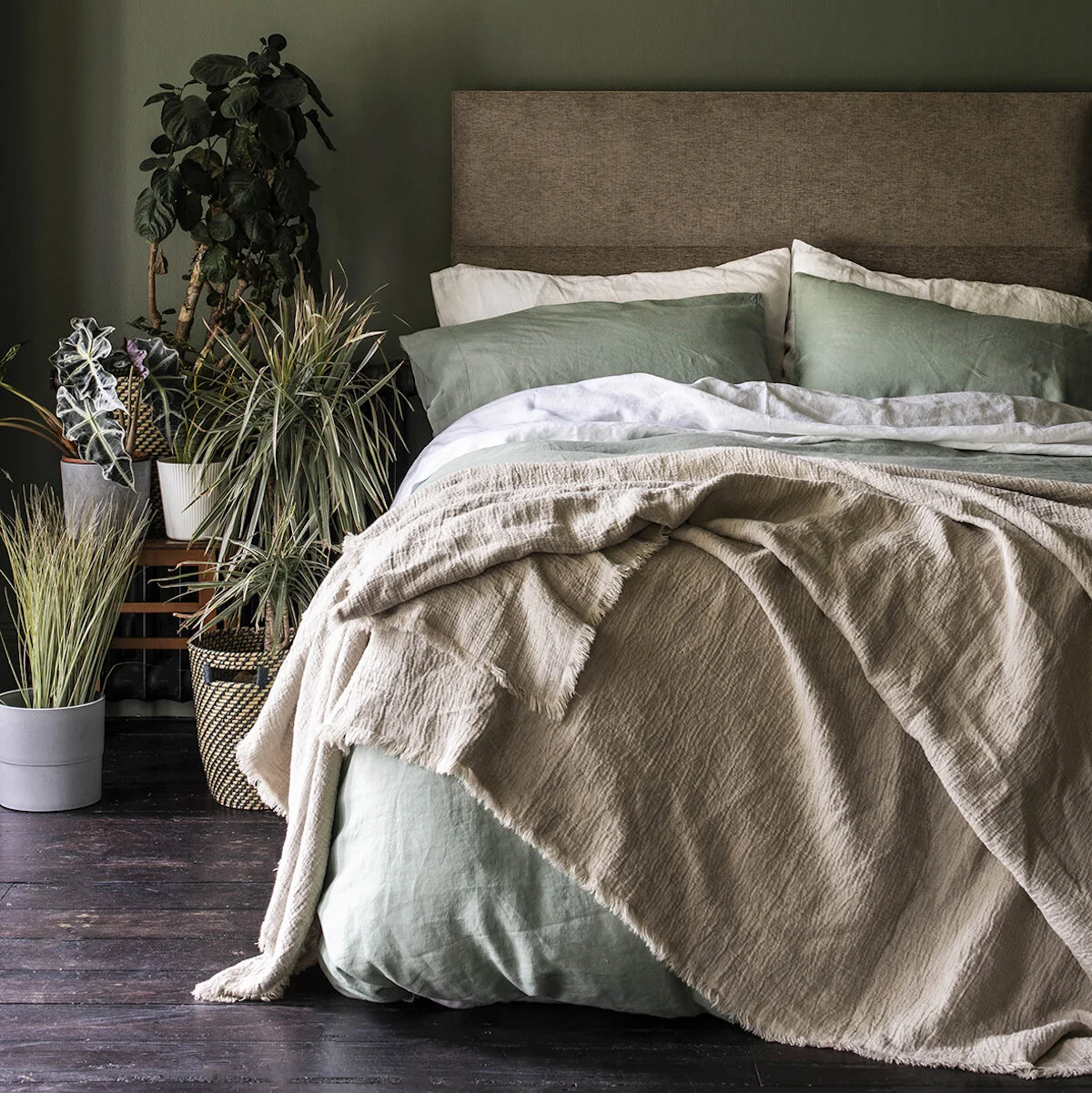Well Being  |  Sleep Easy