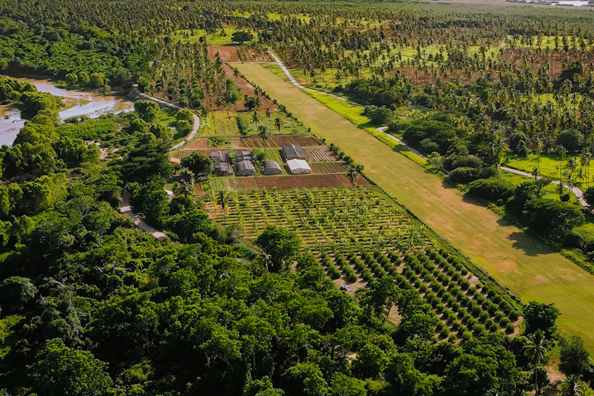 Well Travelled  |  Biodynamic Breaks