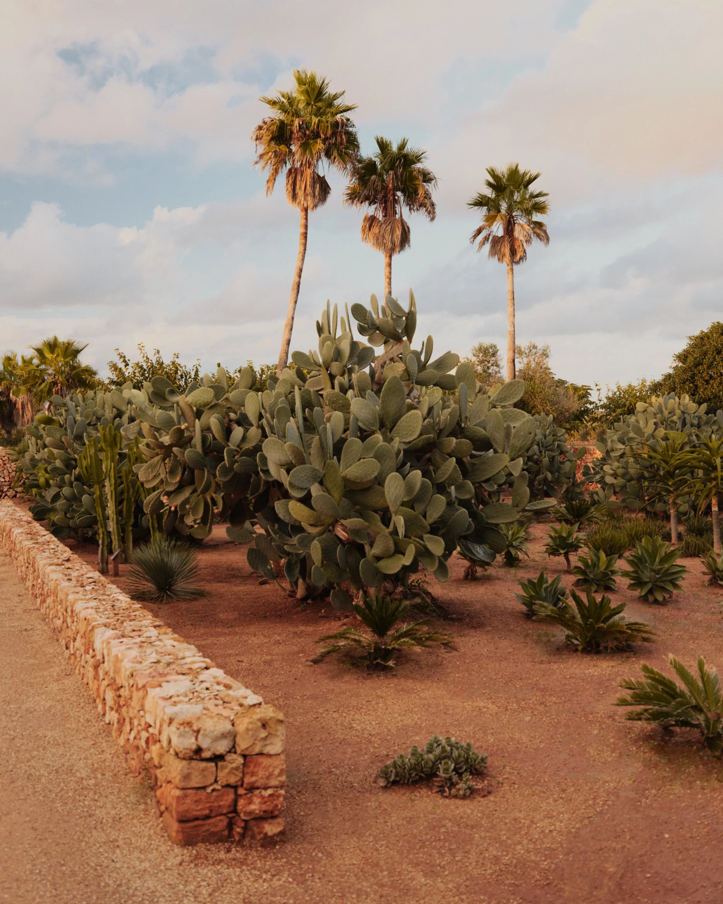 20241026 COUNTRY AND TOWN HOUSE SON VELL_193.jpg