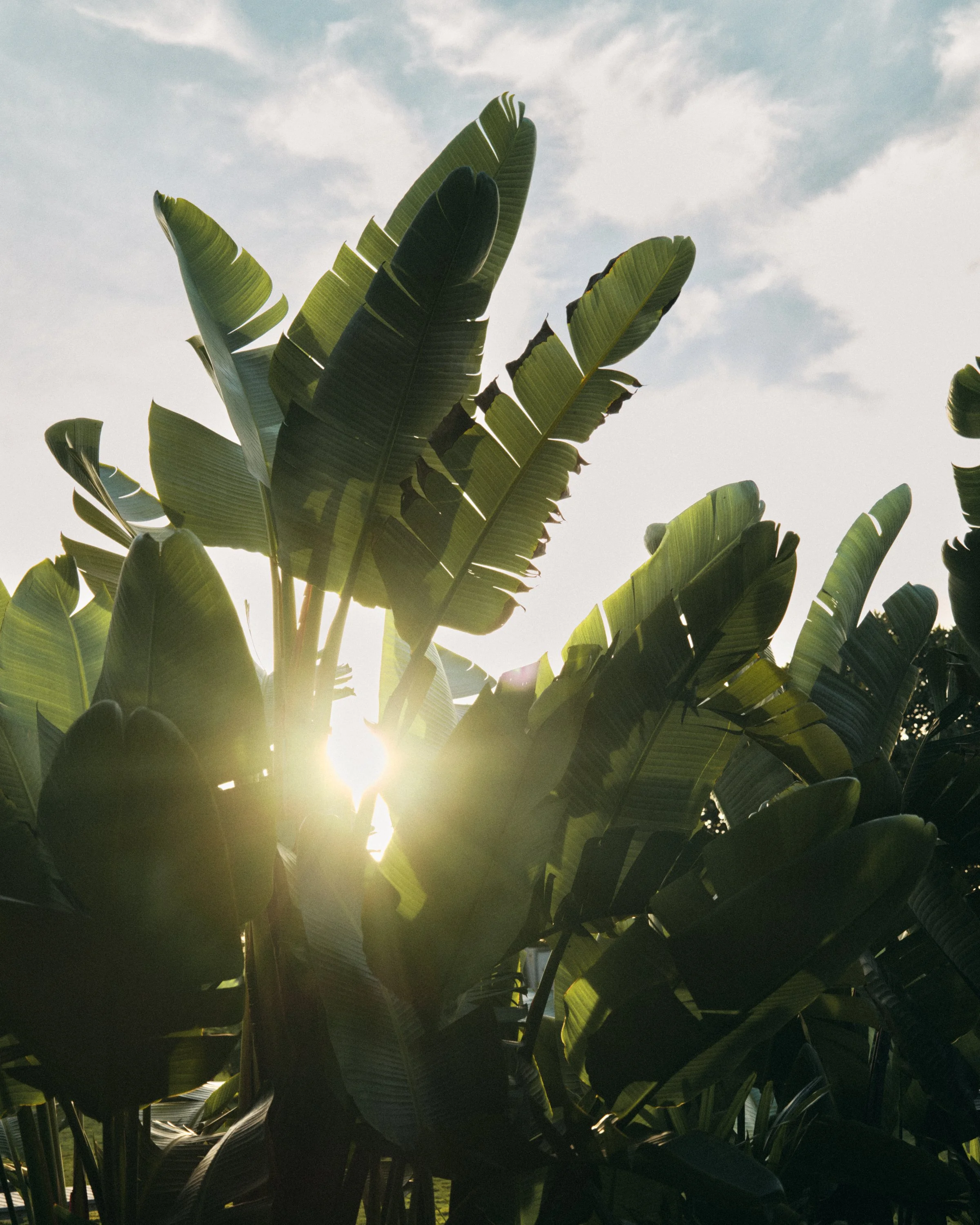 20241026 COUNTRY AND TOWN HOUSE SON VELL_108.jpg