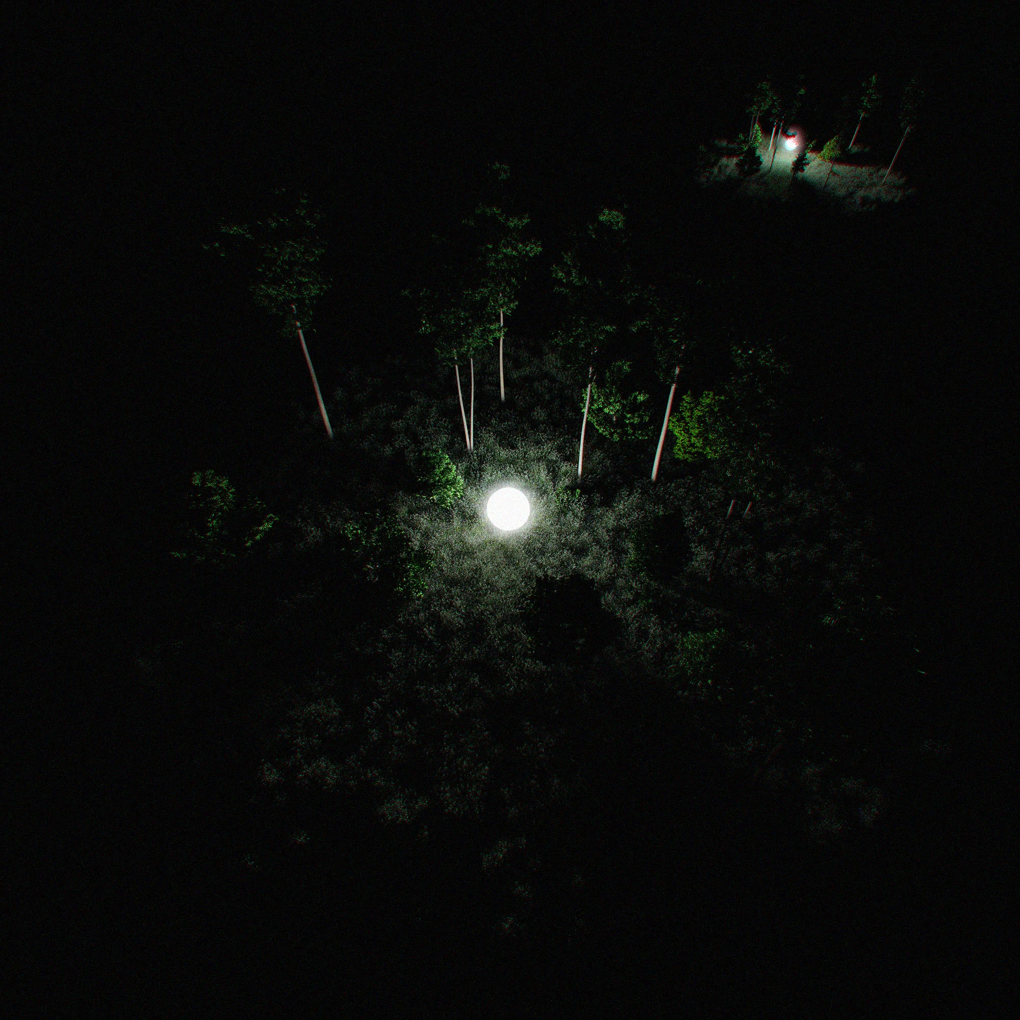 glowforest_01.jpg