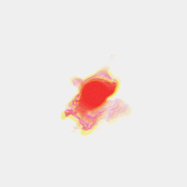 D5_cover2.gif