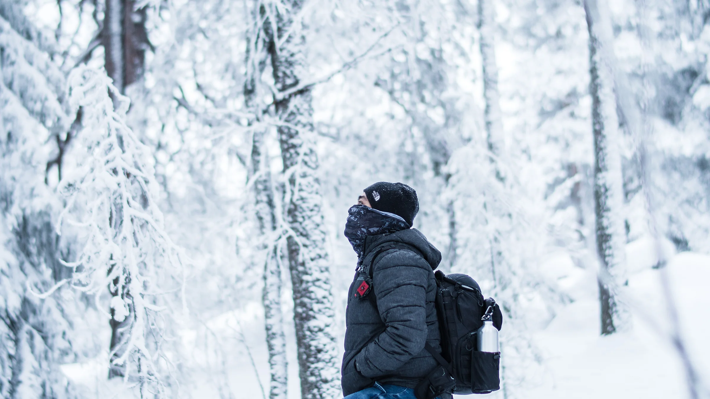 Lapland77.jpg