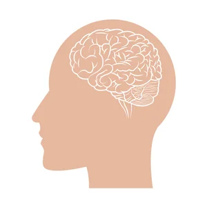 brain-2.jpg