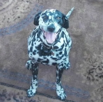 Doris Below.jpg