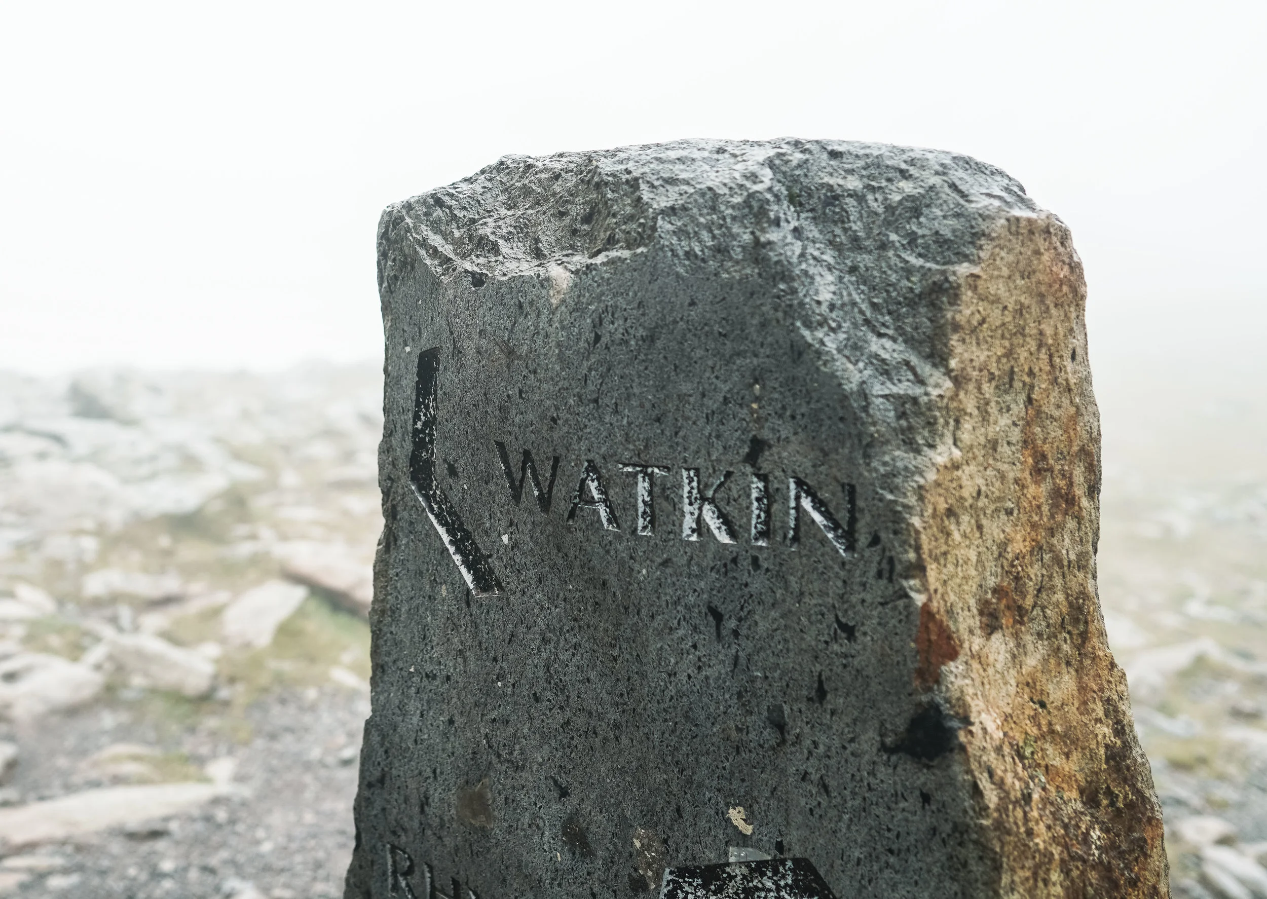 rocklr13-01747.jpg
