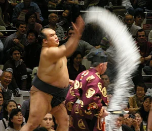 History of Sumo | Discover Sumo History - Join the Tradition — United ...
