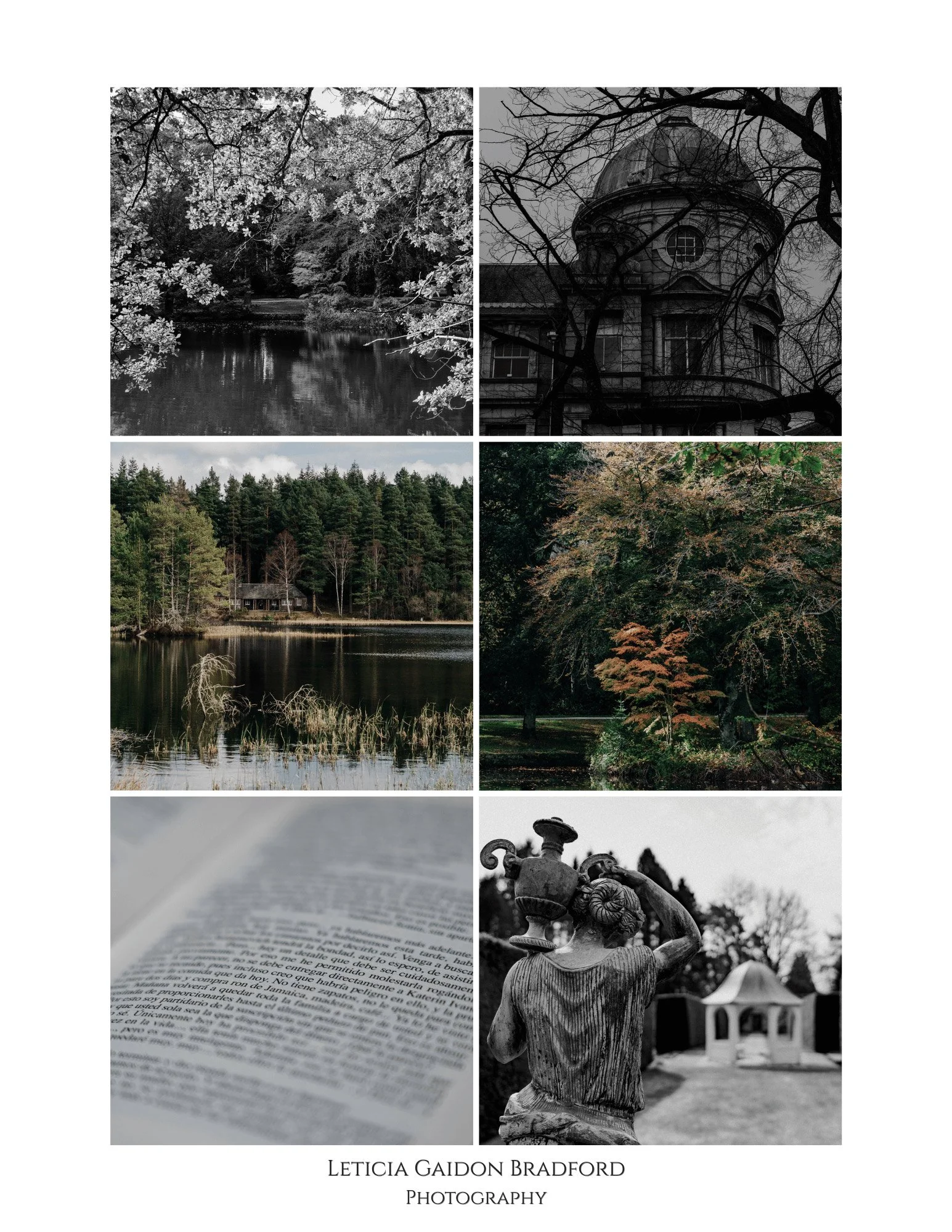 Landscape in Scotland during Autumn. Leticia Gaidon Bradford Photography - Aberdeen and Aberdeenshire photographer - Personal Brand Photos - Headshots  - Corporate Photos - Brand Photography - Visual for brands - Blog - Dating App Profile