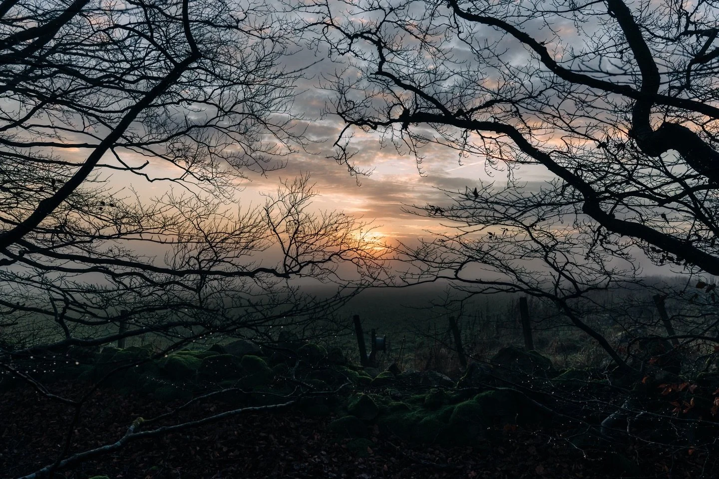 I am very active when it comes to networking and speaking about my business. I show up. I post. I care deeply about what I do.
 
But I will be honest, I am not always consistent with videos. I am not always fluent with the rhythm of constant posting.