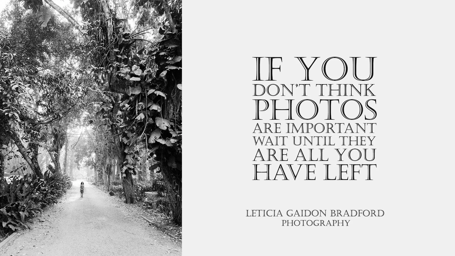 Girl standing in the road with enourmes tropical tress in both sides of the road. Aberdeen Photographer - Leticia Gaidon Bradford Photography - Corporative photos - Headshots - Personal Branding - Blog - Contemporary portraits - Boudoir - Dating phot
