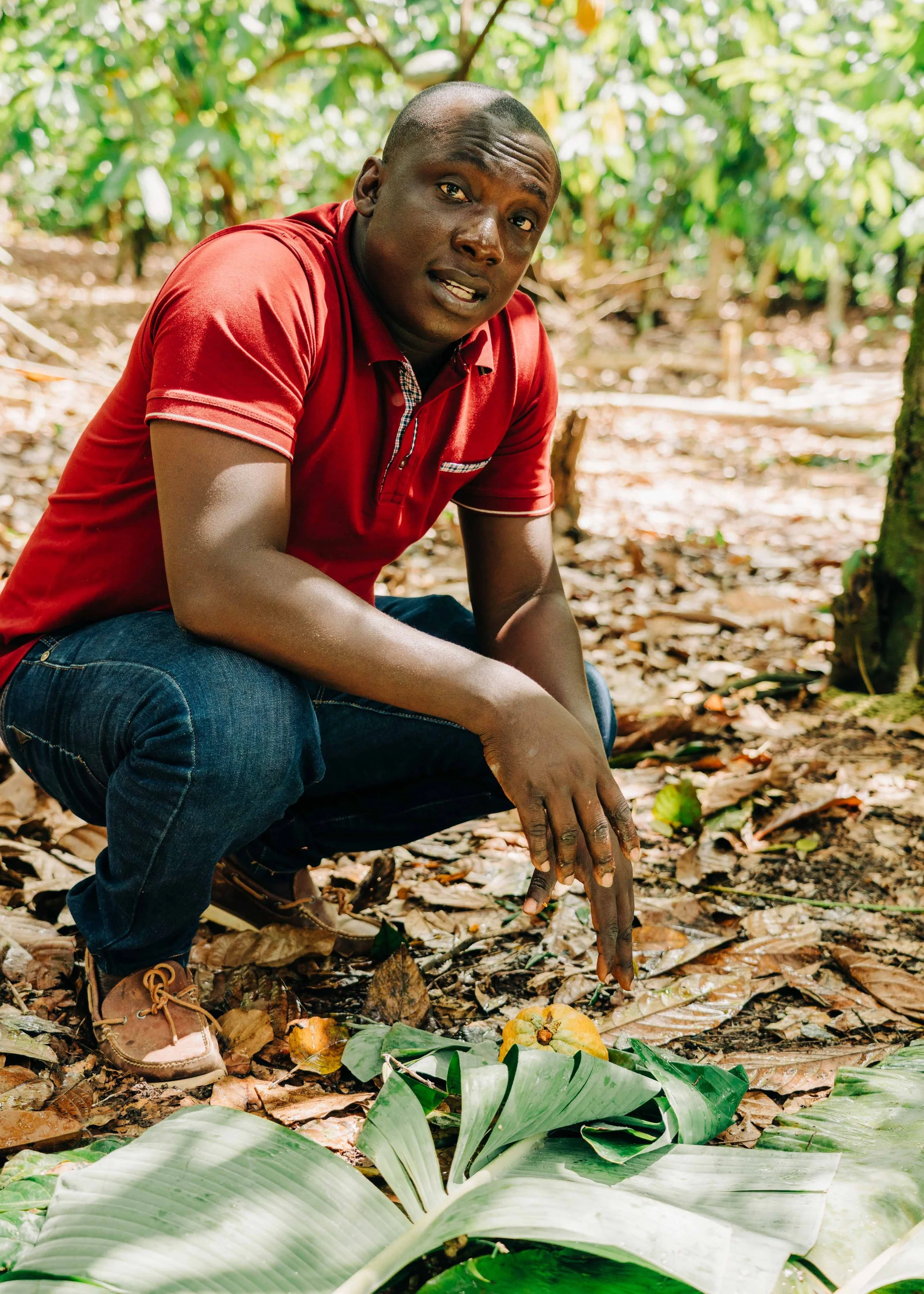 Olam coco field - Aberdeen Photographer - Leticia Gaidon Bradford Photography - Corporate Photos - Headshots - Personal Branding - Blog - Events