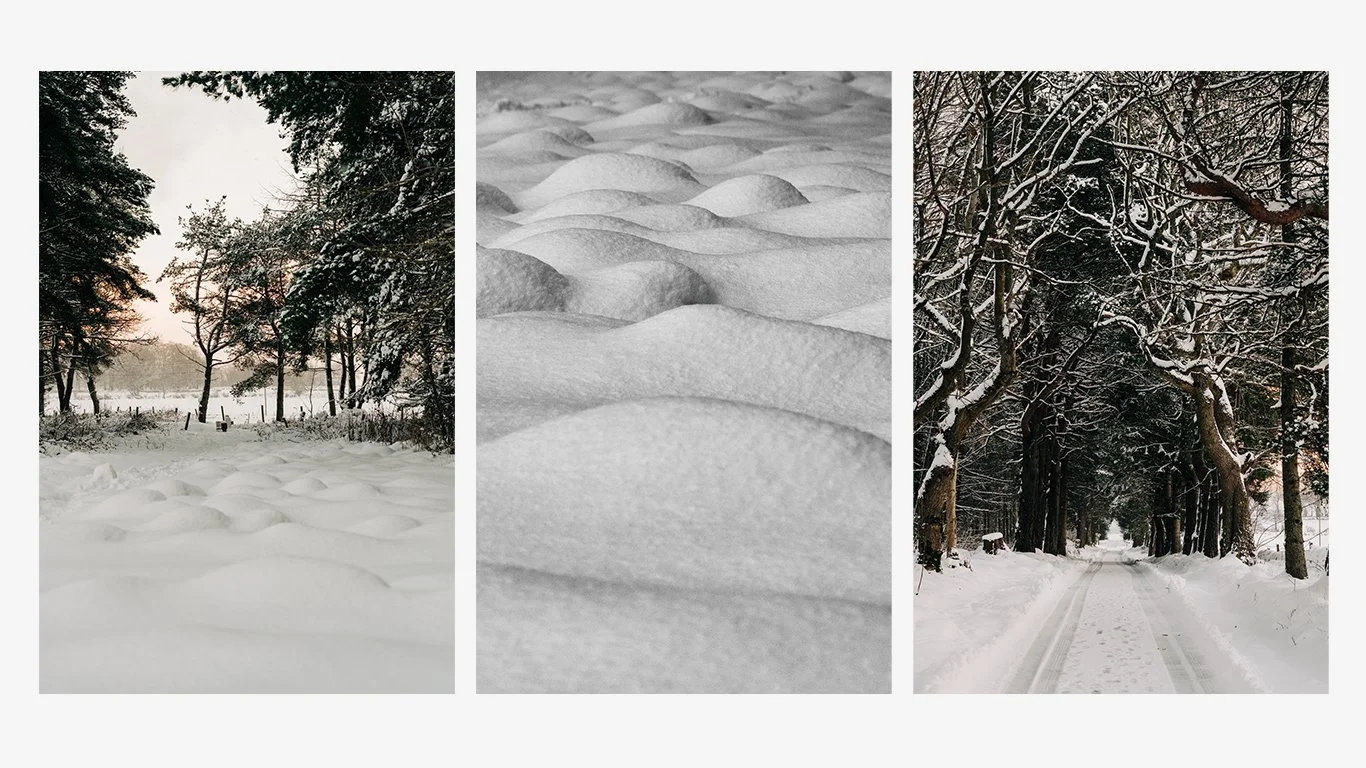 Countryside under the snow. Leticia Gaidon Bradford Photography - Images for website - Headshots - Personal Brand - Boudoir - Dating App Photography Profiles - Blog