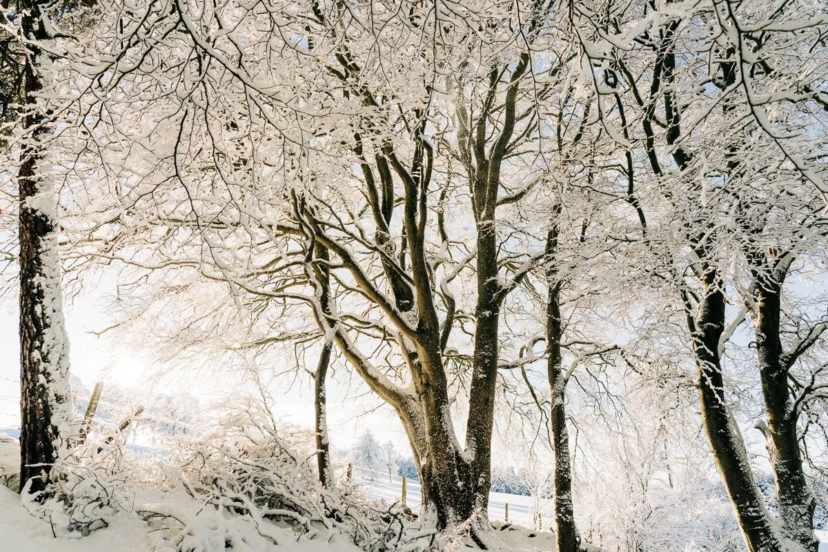 Countryside under the snow. Leticia Gaidon Bradford Photography - Images for website - Headshots - Personal Brand - Boudoir - Dating App Photography Profiles - Blog