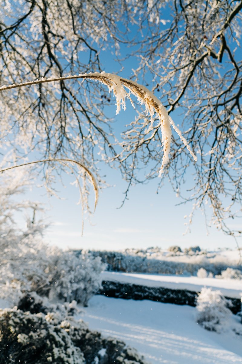 Countryside under the snow. Leticia Gaidon Bradford Photography - Images for website - Headshots - Personal Brand - Boudoir - Dating App Photography Profiles - Blog