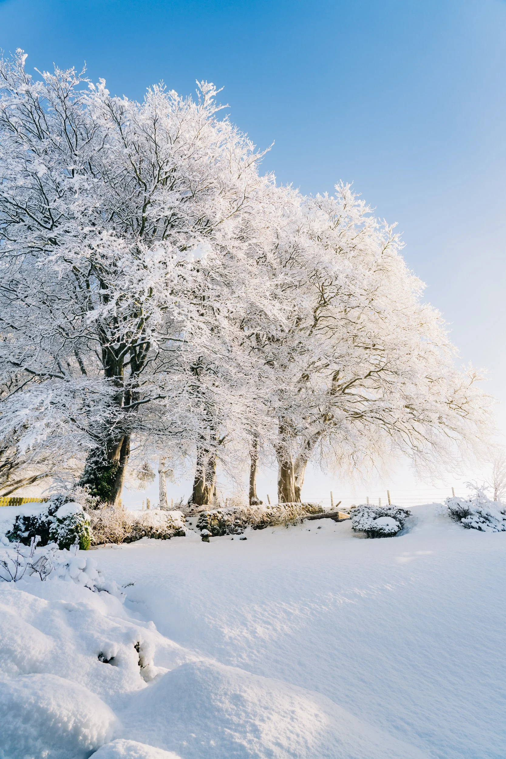 Countryside under the snow. Leticia Gaidon Bradford Photography - Images for website - Headshots - Personal Brand - Boudoir - Dating App Photography Profiles - Blog