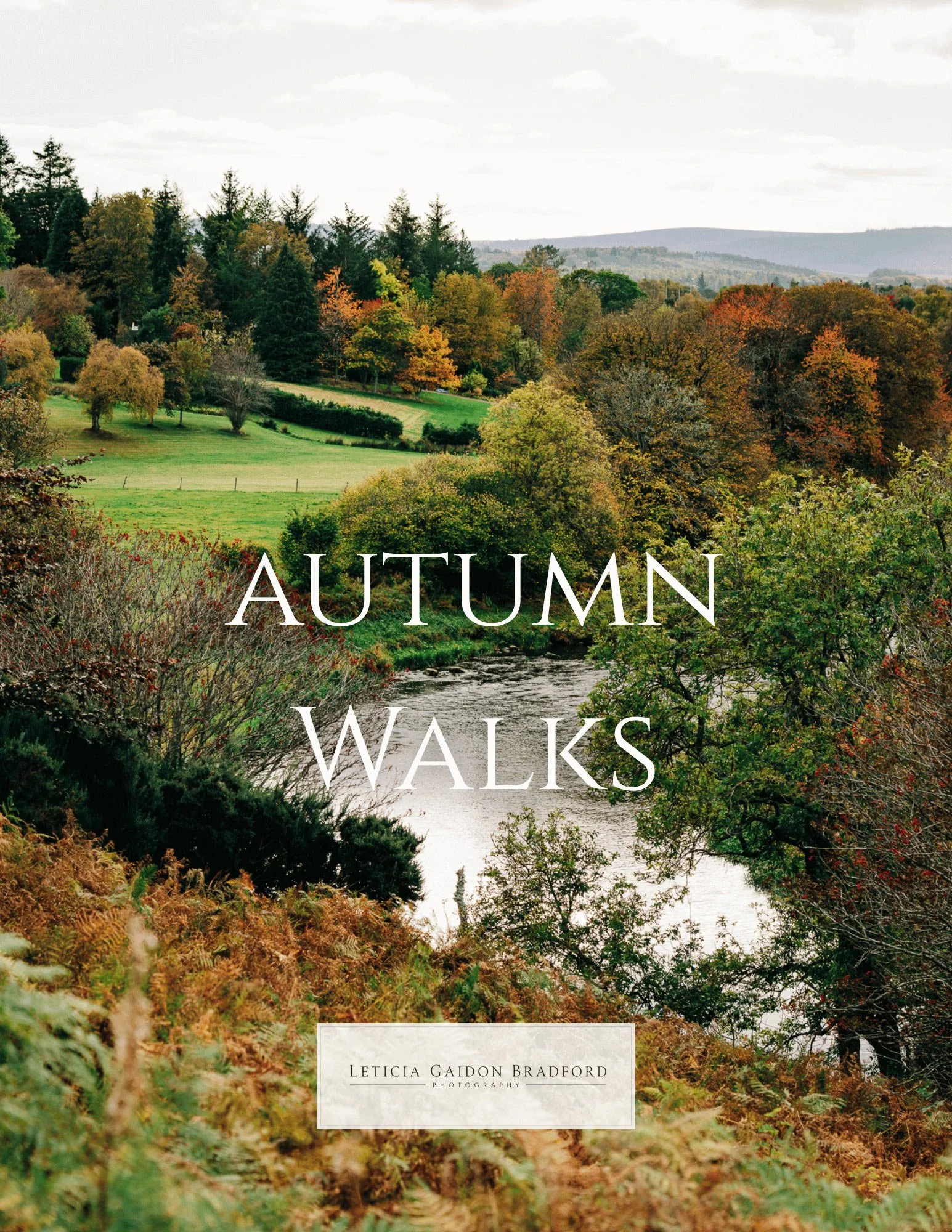 Landscape in Scotland during Autumn. Leticia Gaidon Bradford Photography - Aberdeen and Aberdeenshire photographer - Personal Brand Photos - Headshots  - Corporate Photos - Brand Photography - Visual for brands - Blog - Dating App Profile