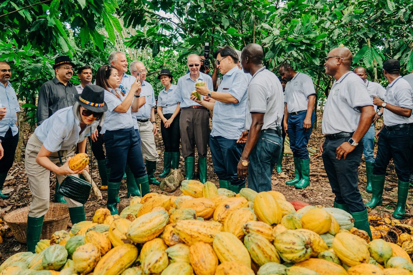 Cocoa plantation - Aberdeen Photographer - Leticia Gaidon Bradford Photography - Corporative photos - Headshots - Personal Brand - PR images for business - Website images - Blog