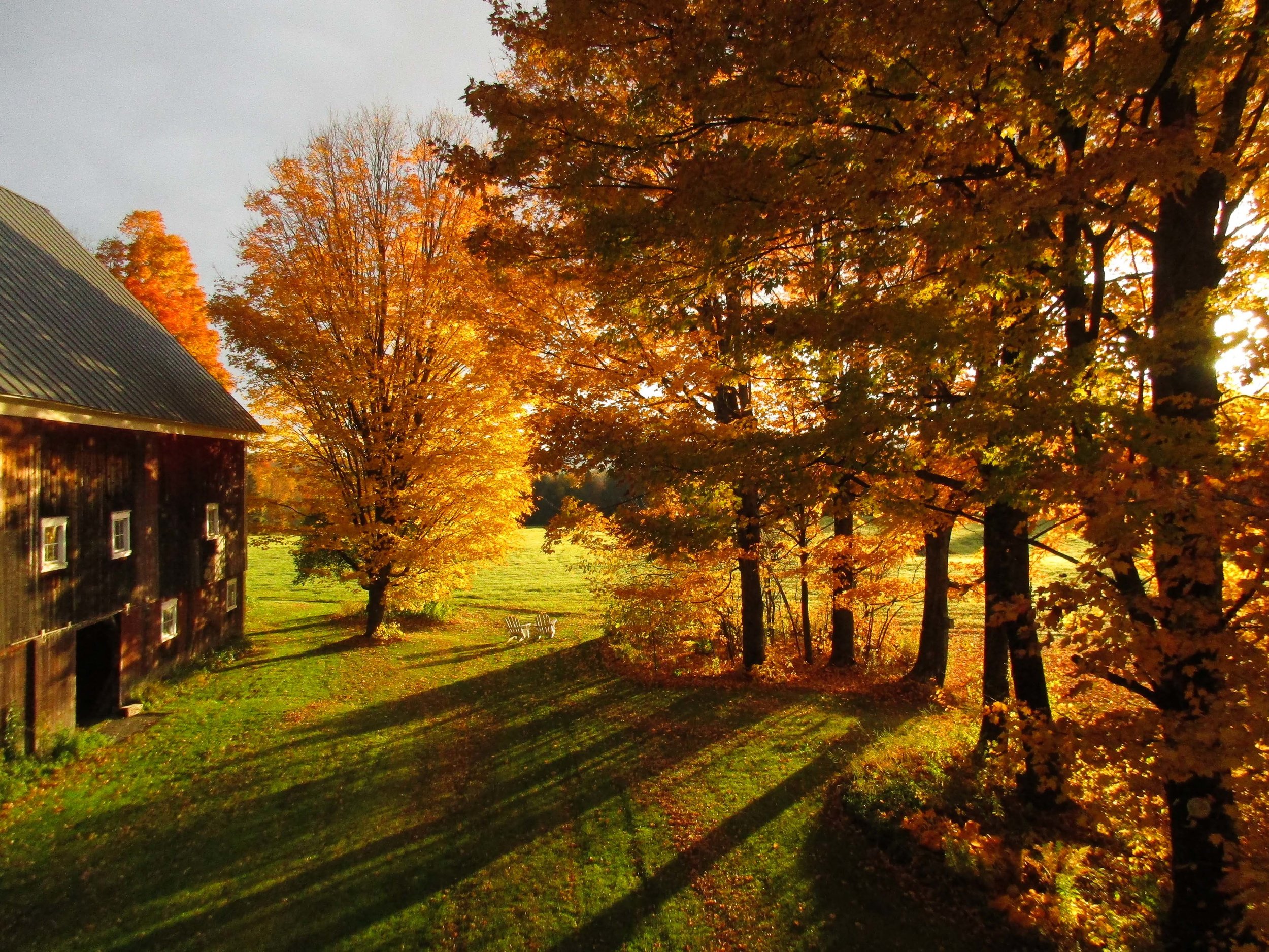 A barn in fall light with the leaves changing