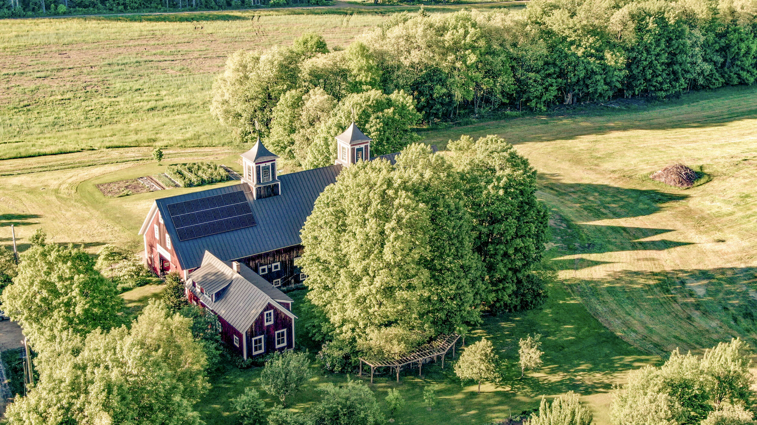 An aerial shot of Turning Stone farm and full trees in the summer