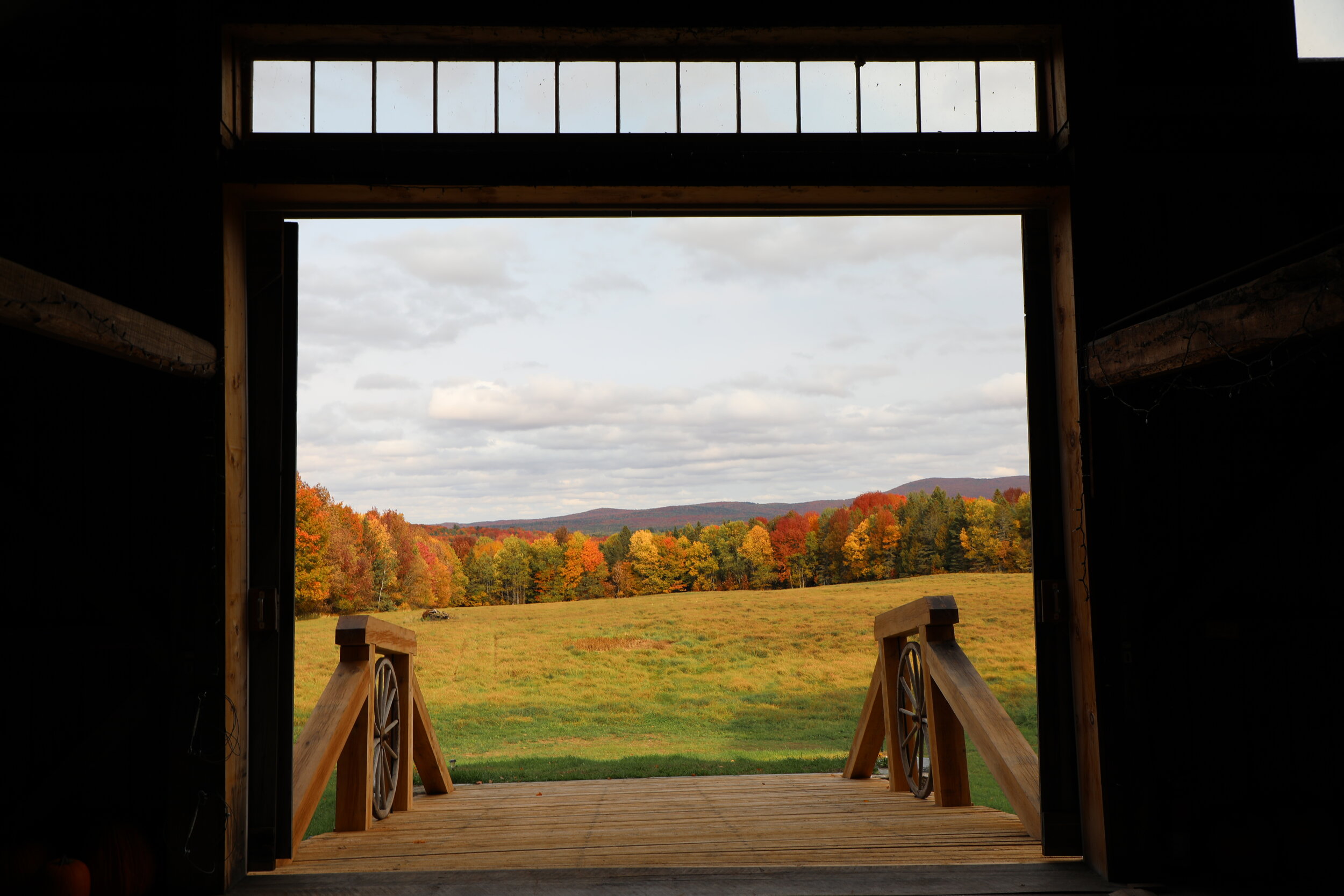 Golden fall trees in the distance seen from inside the barn