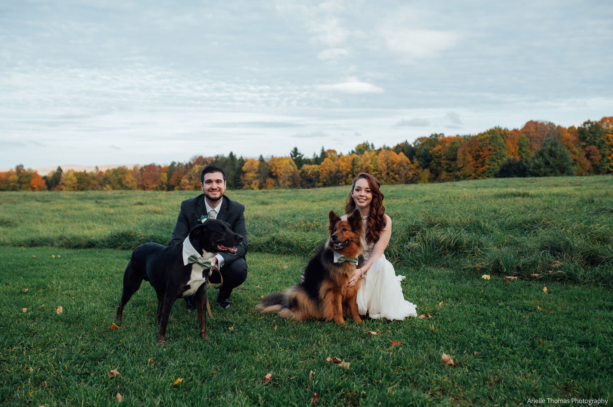 A bride and groom and their dogs outside in a field outside a barn with fall trees in the background