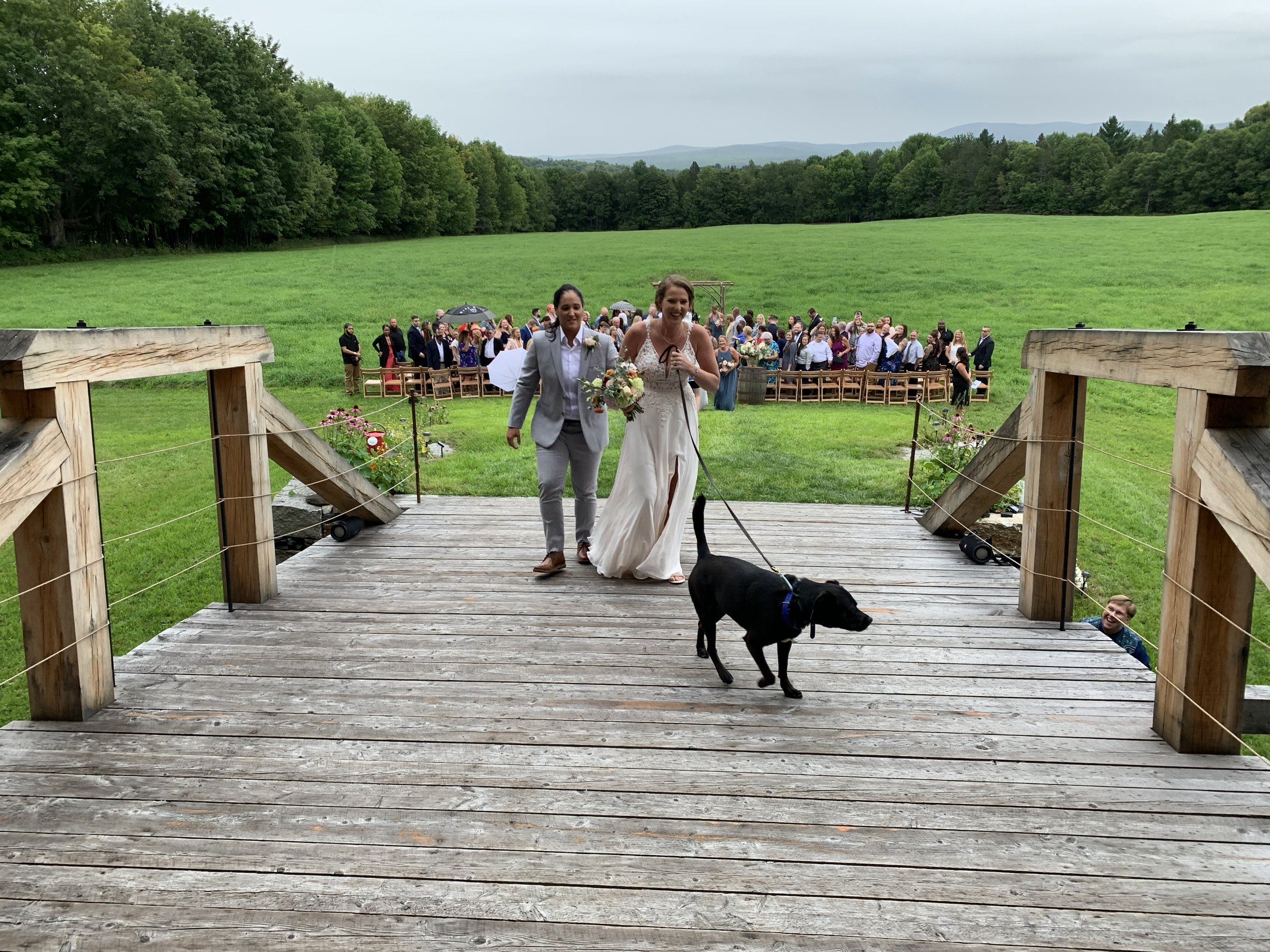 A dog leads the bride and groom into the barn after the wedding ceremony 