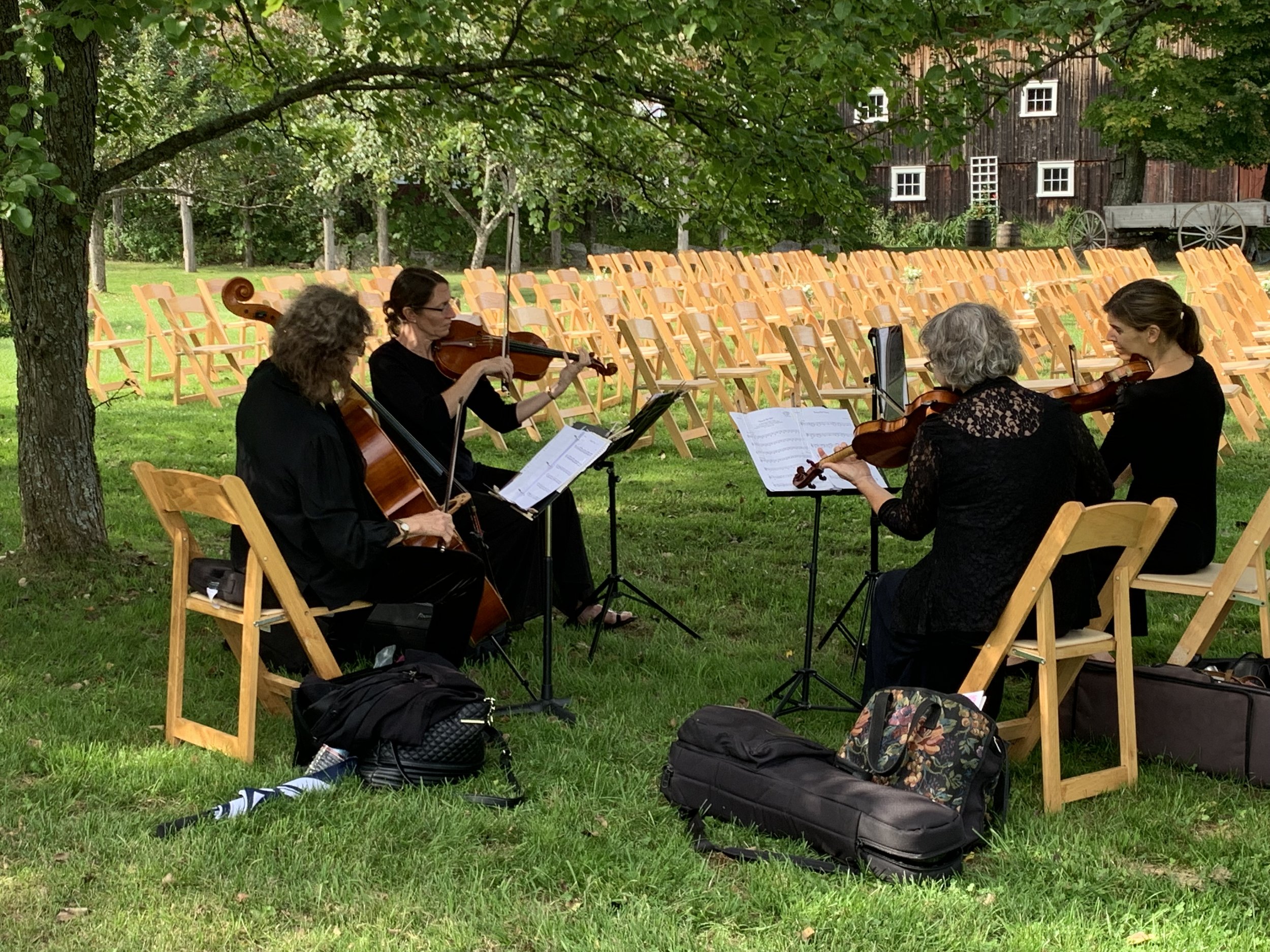 A strings quartet playing under the trees next to empty chairs outside of a barn