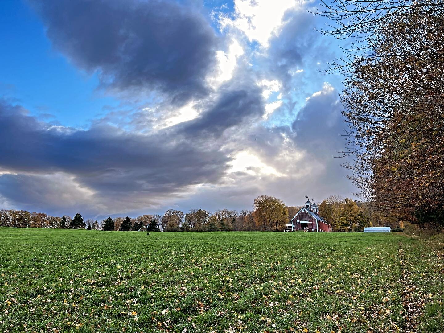 Fallen leaves and dramatic clouds showing the liminal moments leading to stick season.  The wind will sweep through majestic trees for many moons before we see the colors of leaves again. Enjoy each day and look for beauty. 
#vermontlife #vermontbarn