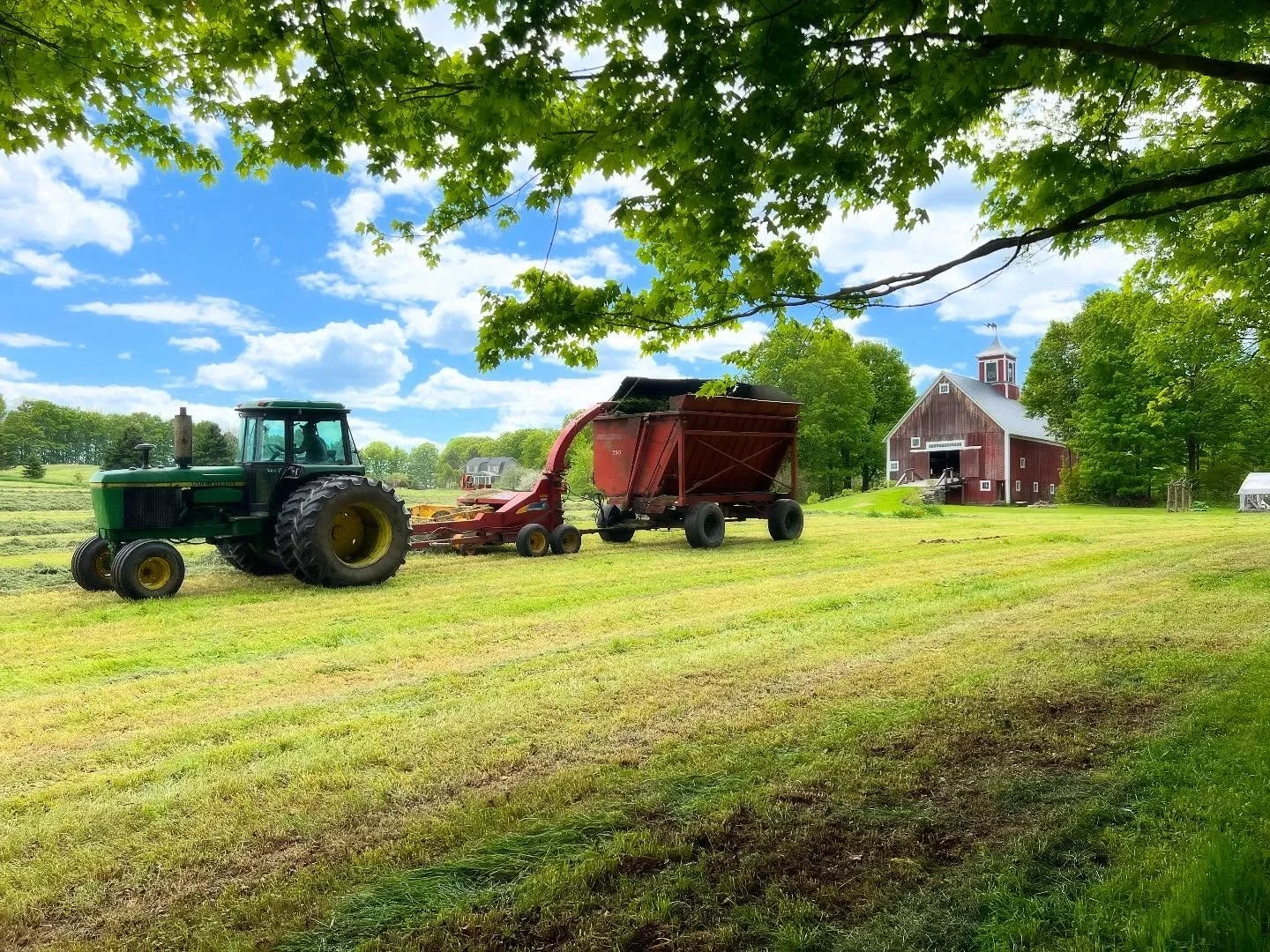 Making hay while the sun shines! Taking advantage of the window of opportunity this week to harvest first cut. Enjoy the rain today!
#makinghay #vermontlife #firstcut #gotmilk #nekstrong #hayfield #vermontbarn #vermontweddingvenue