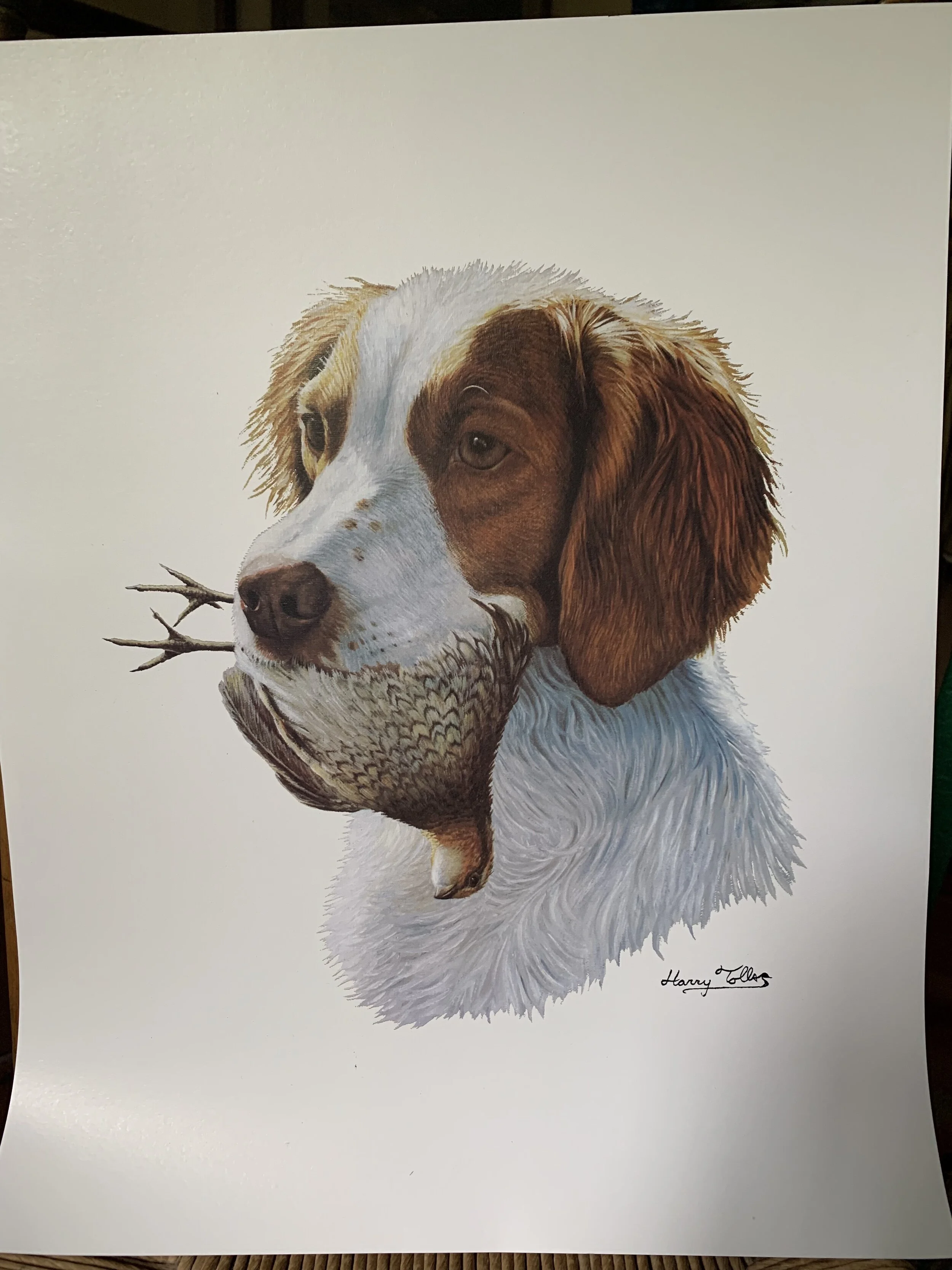  Brittany print Harry Tolls   $125.00 (A-3) 