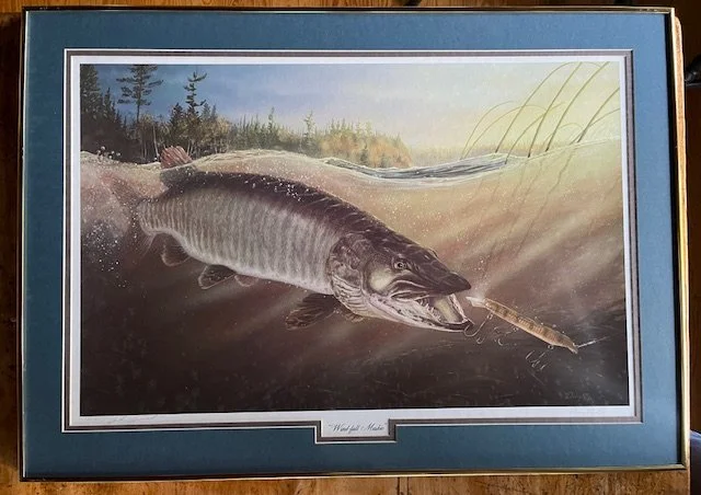  Terry Doughty signed print entitled “Wind-fall Muskie”. 28/50. Professionally matted and framed 31 1/4” x 22 1/4”   $150.00 each  (A-8)   (all four for $500) 
