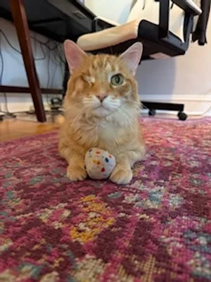image1.jpeg