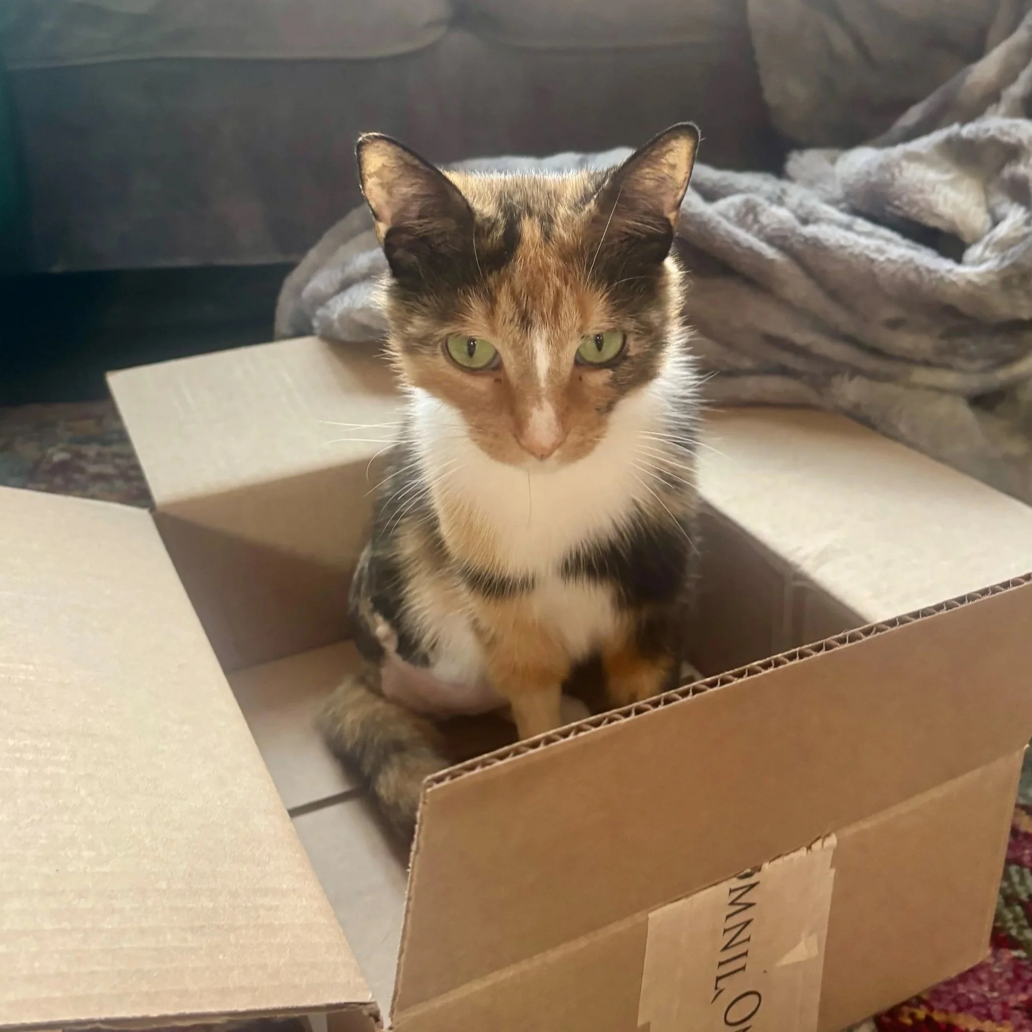 Special+Delivery.jpg