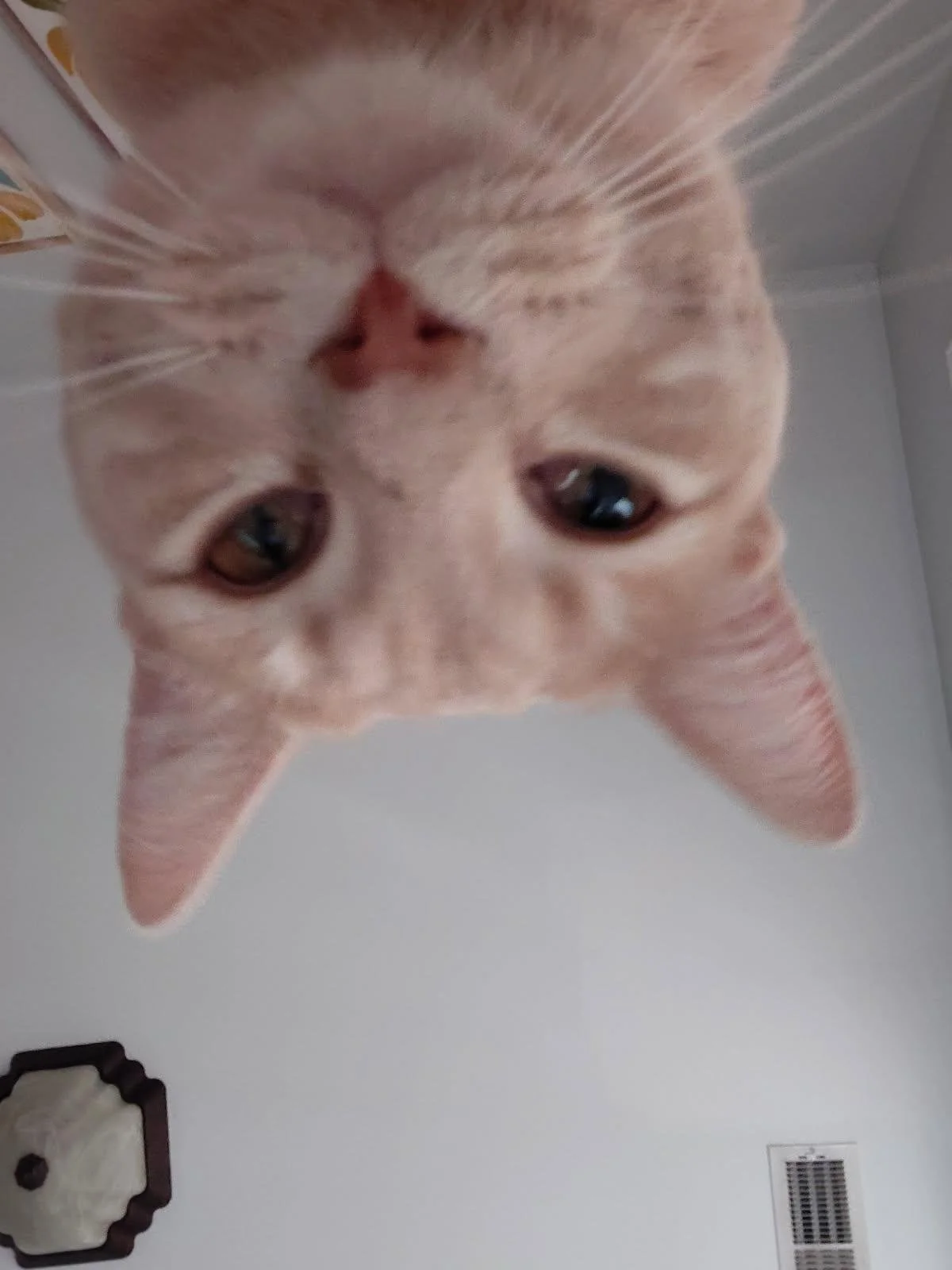 image1-7.jpeg