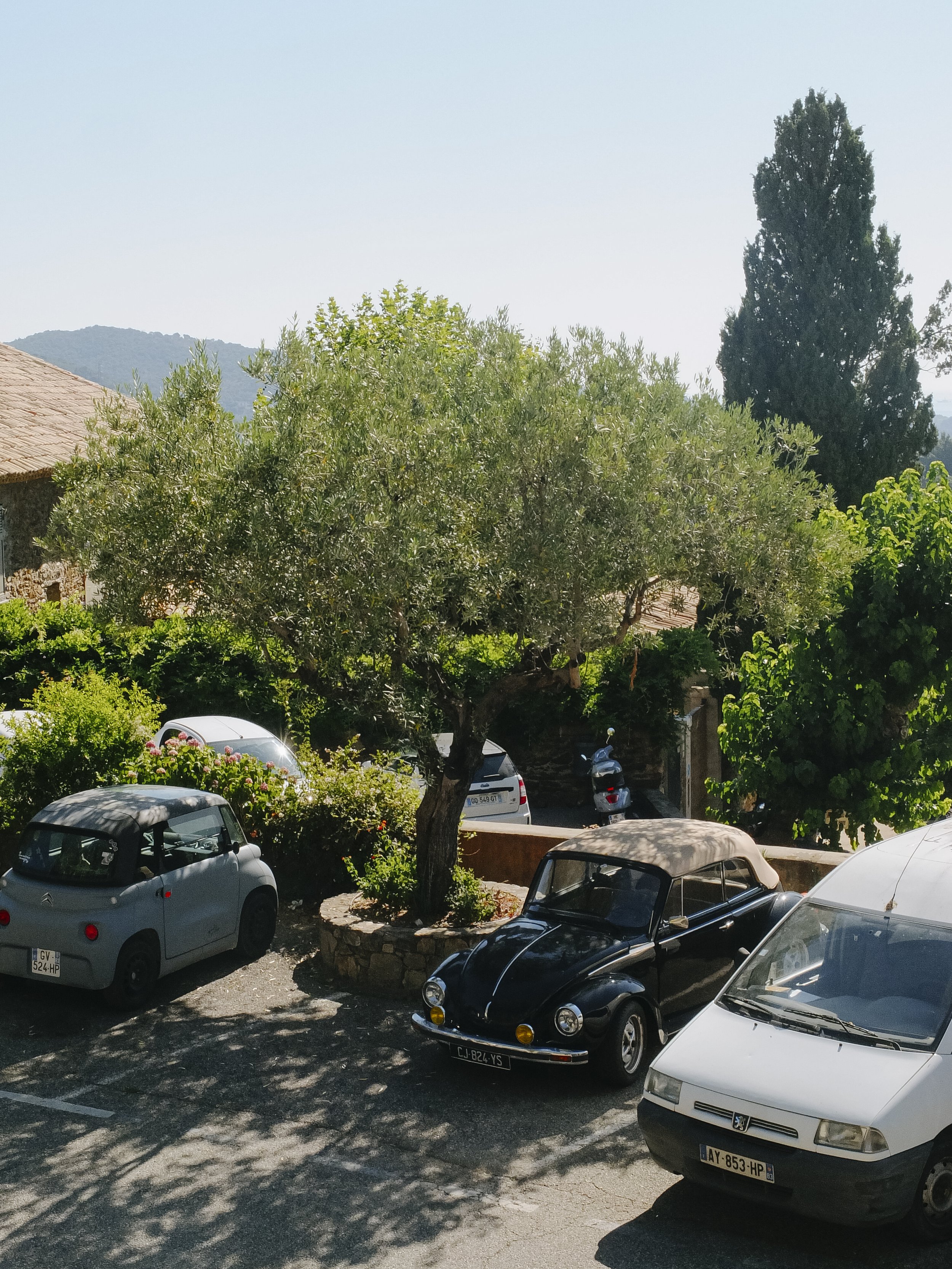 DSCF6748.jpg