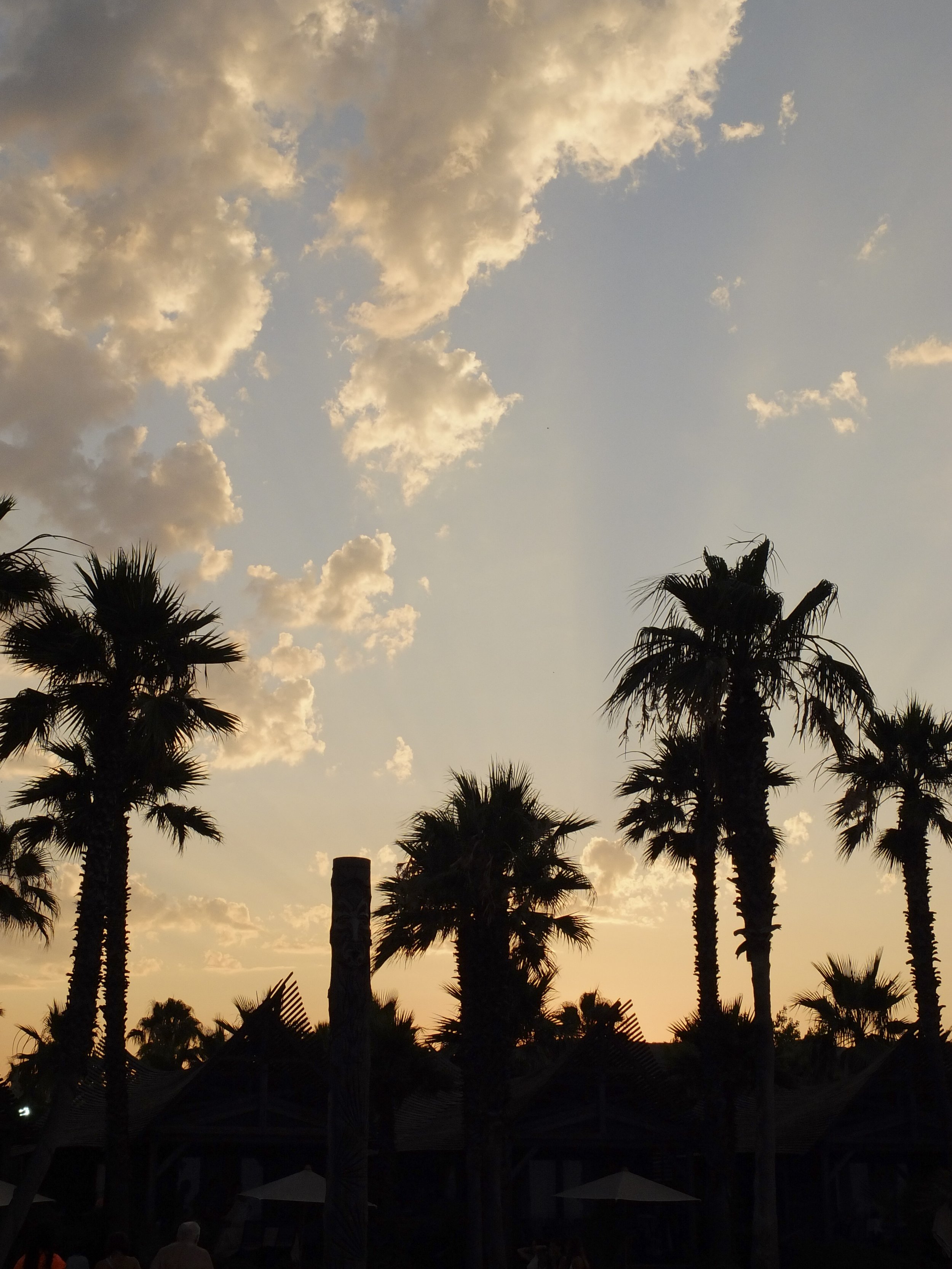DSCF6787.jpg