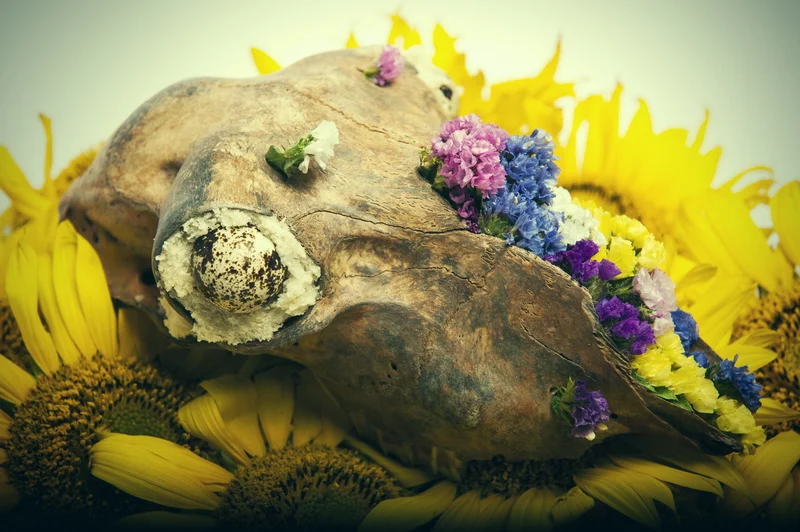 Le triomphe de la vie sur la mort / The triumph of life over death V1