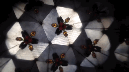 2016-43-12 11-43-07.gif