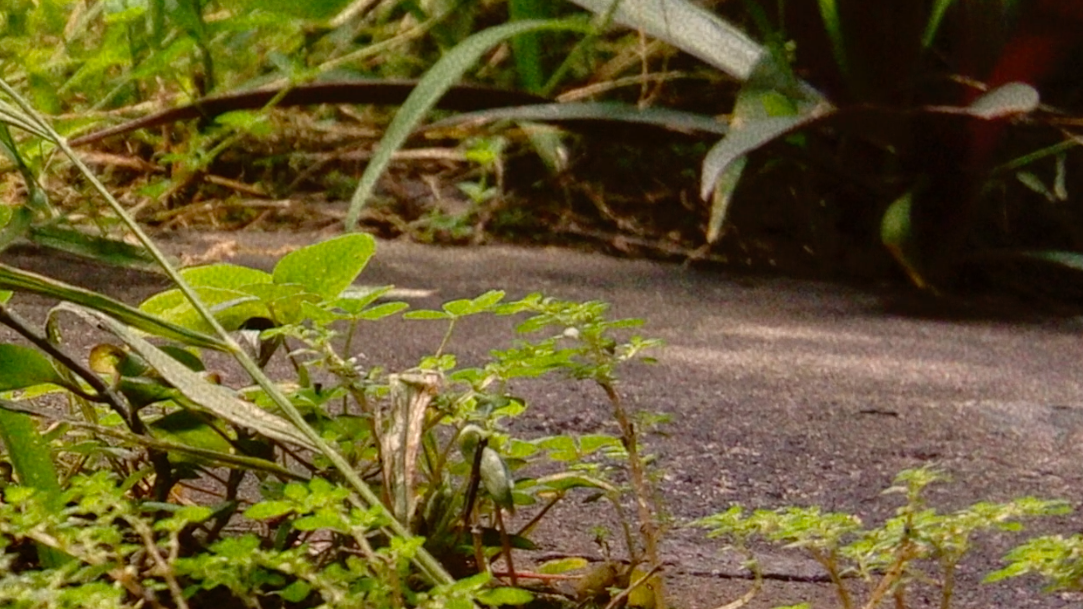 Captura de pantalla 2019-04-30 a las 10.28.14 a.m..png