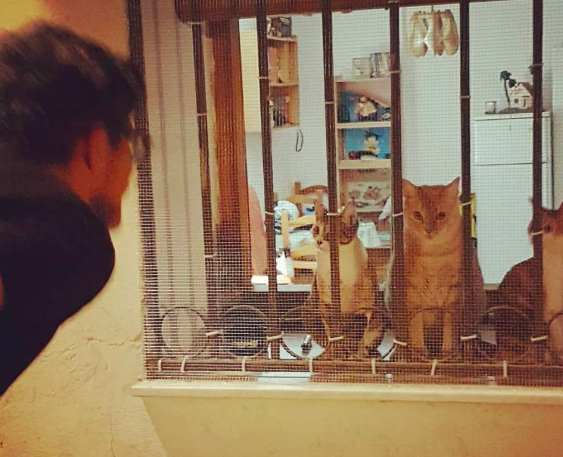 Captura de pantalla 2020-05-20 a las 9.49.53 p.m..png