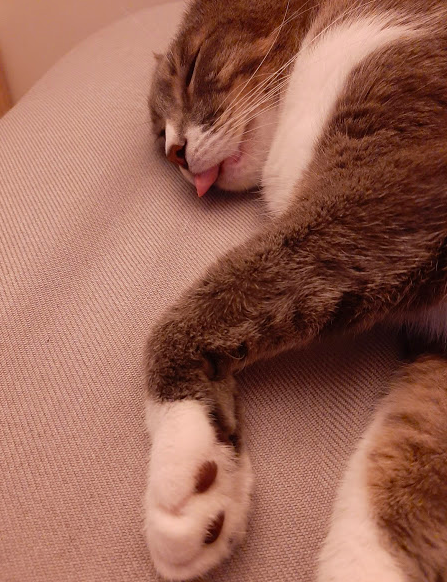 Captura de pantalla 2020-05-20 a las 10.28.39 p.m..png