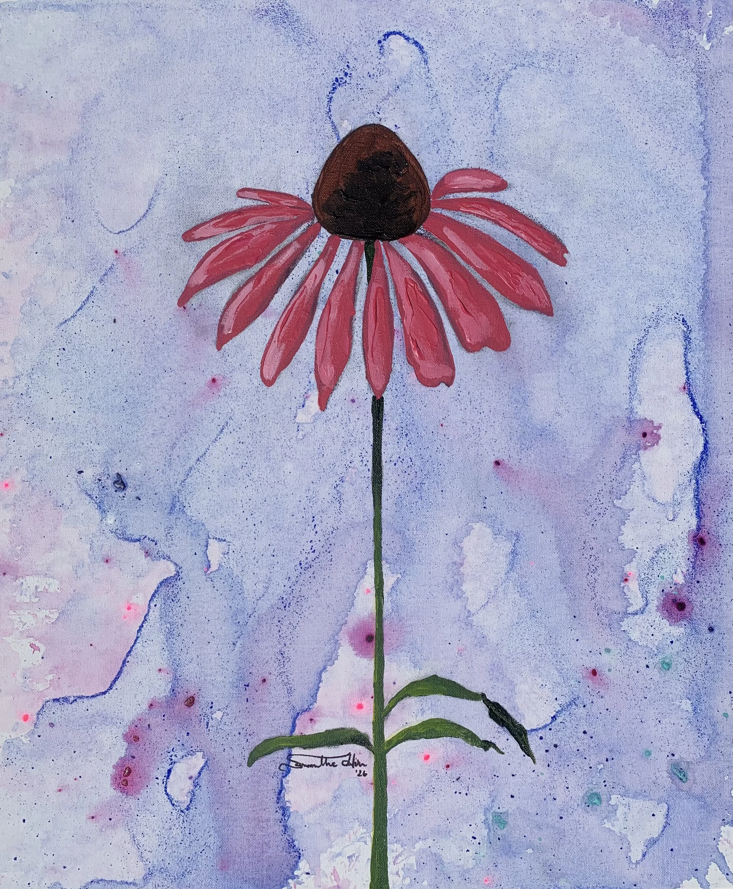 Cone Flower.jpg