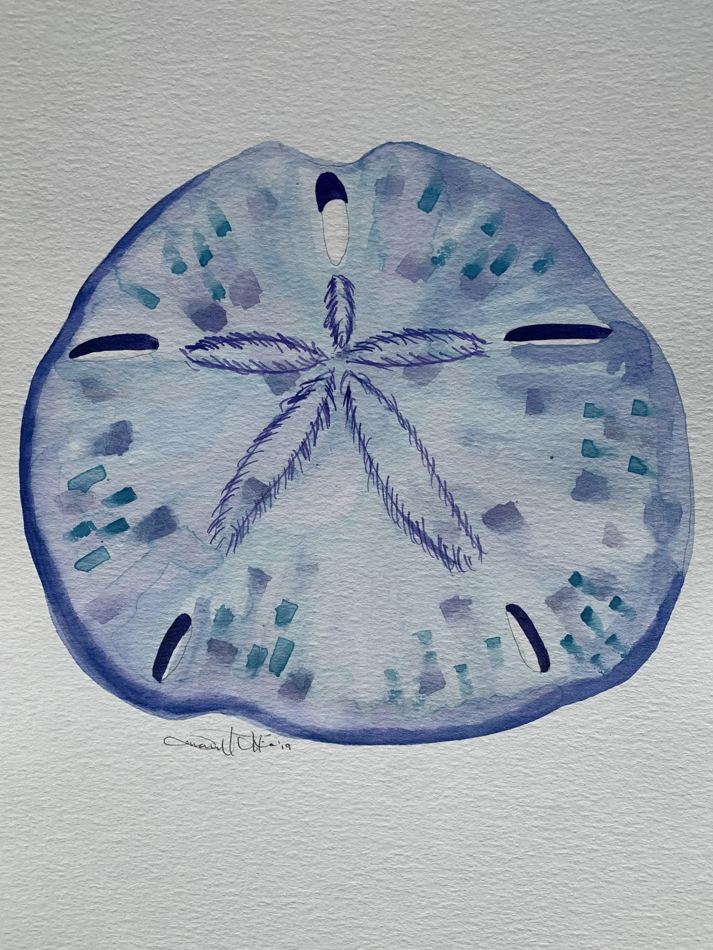 Sand Dollar 2019.jpg