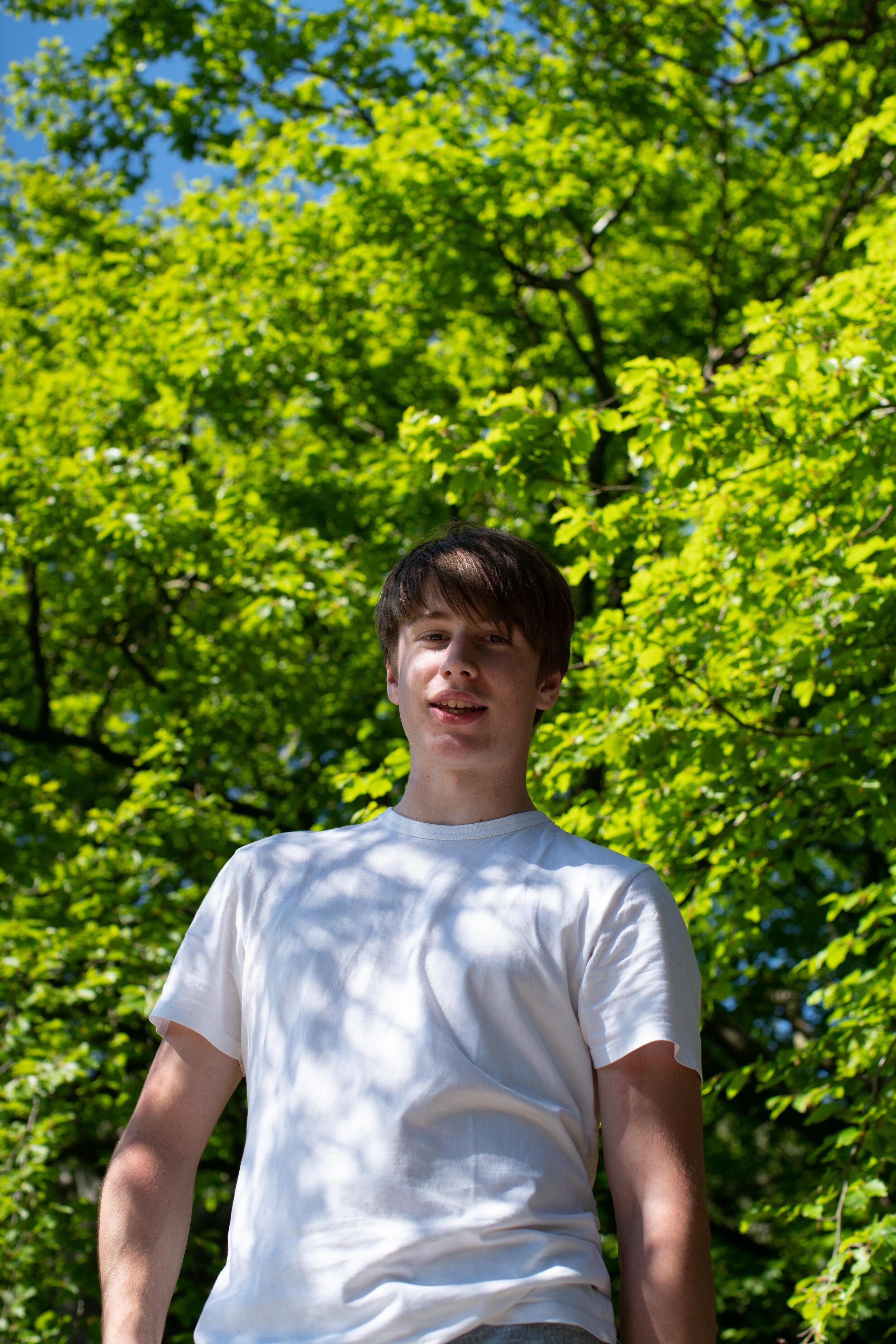 DSC00806.jpg