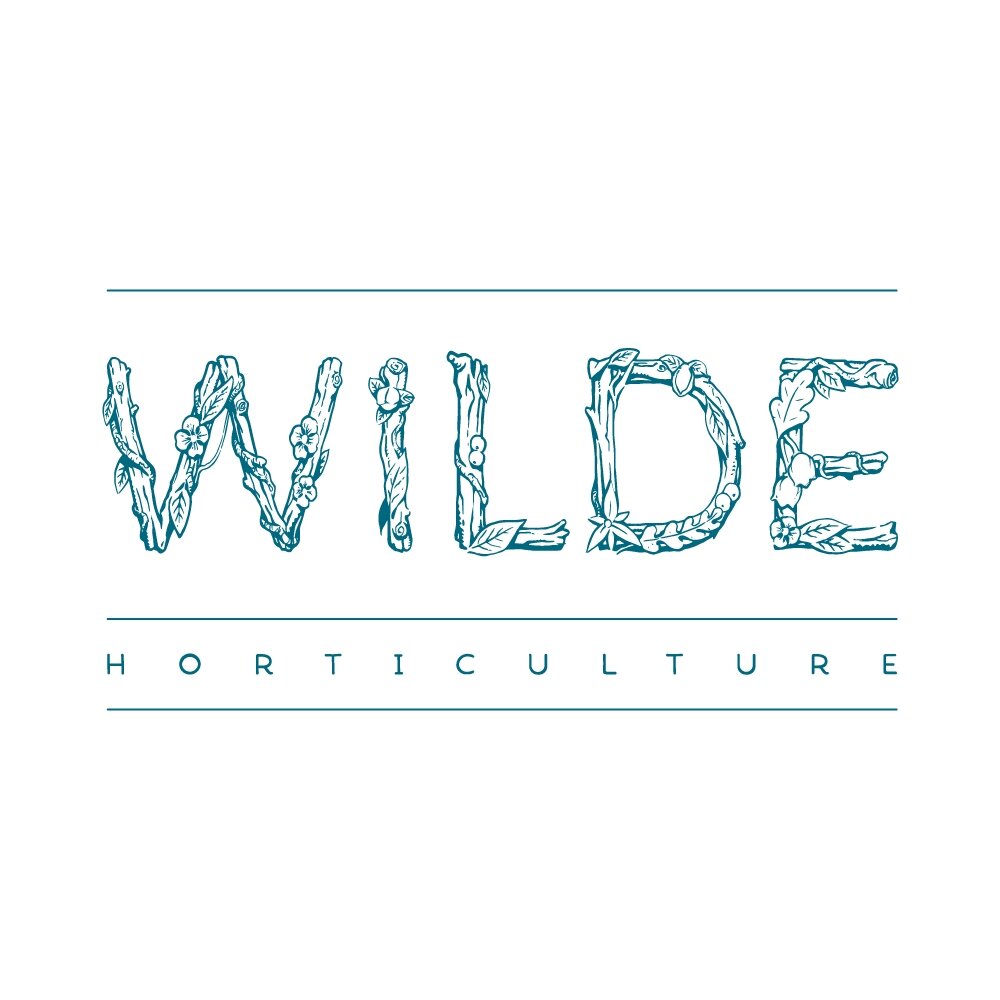 wilde-logo-wide-teal.jpg