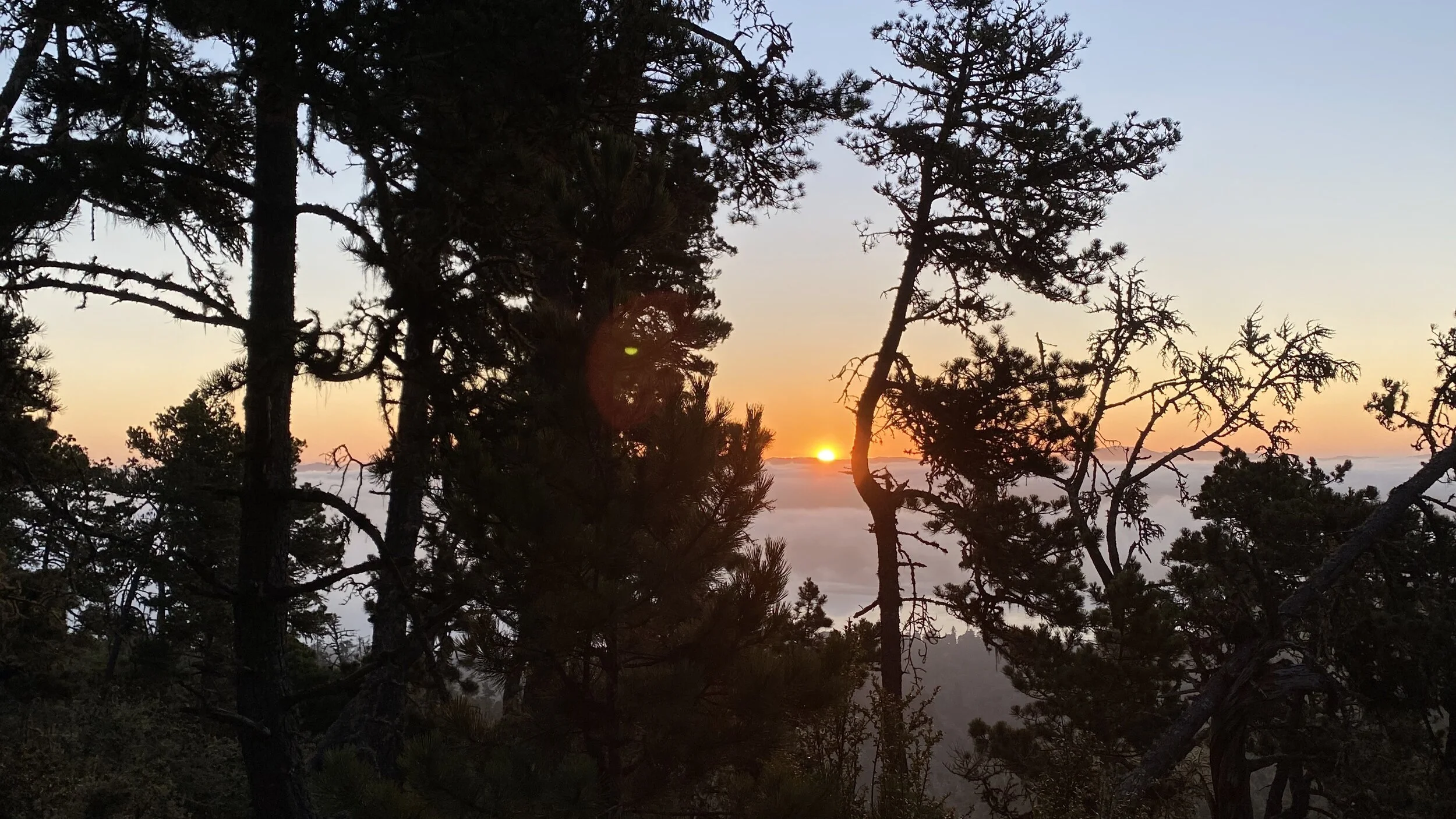 "There are years that ask questions, and years that answer."