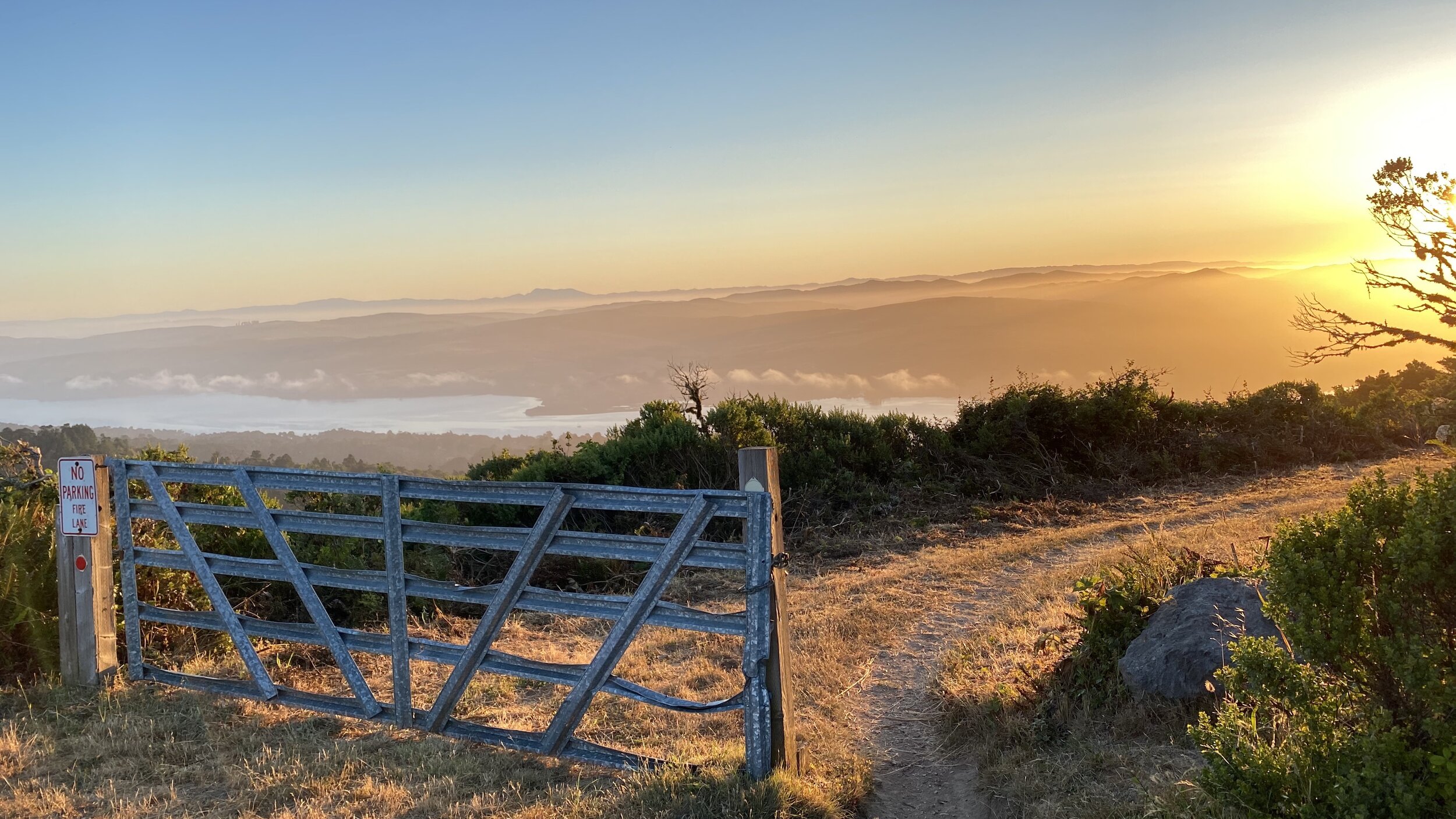 "The Universe Is Full Of Magical Things"