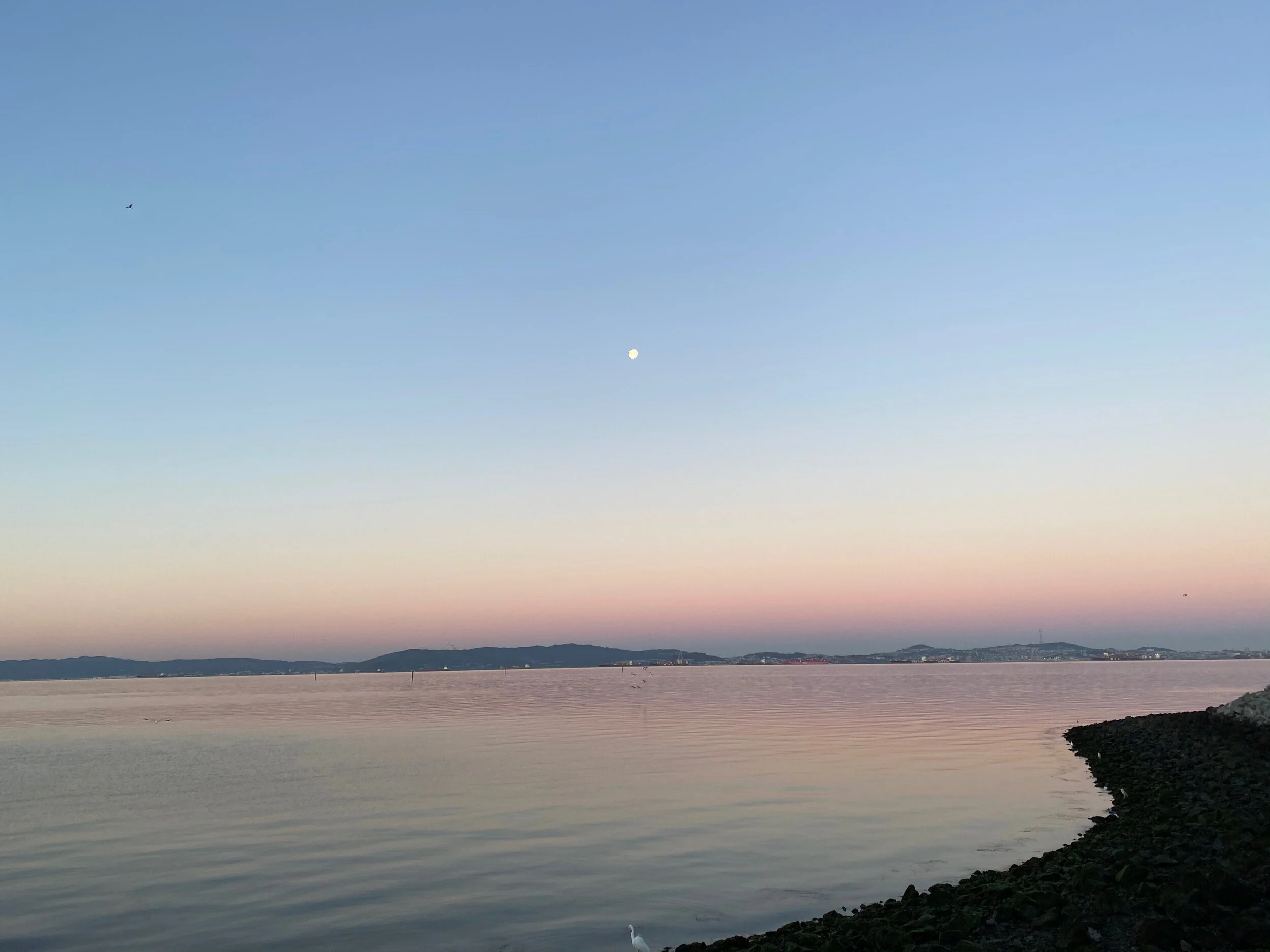 Personal Renewal Comes From Meaning 