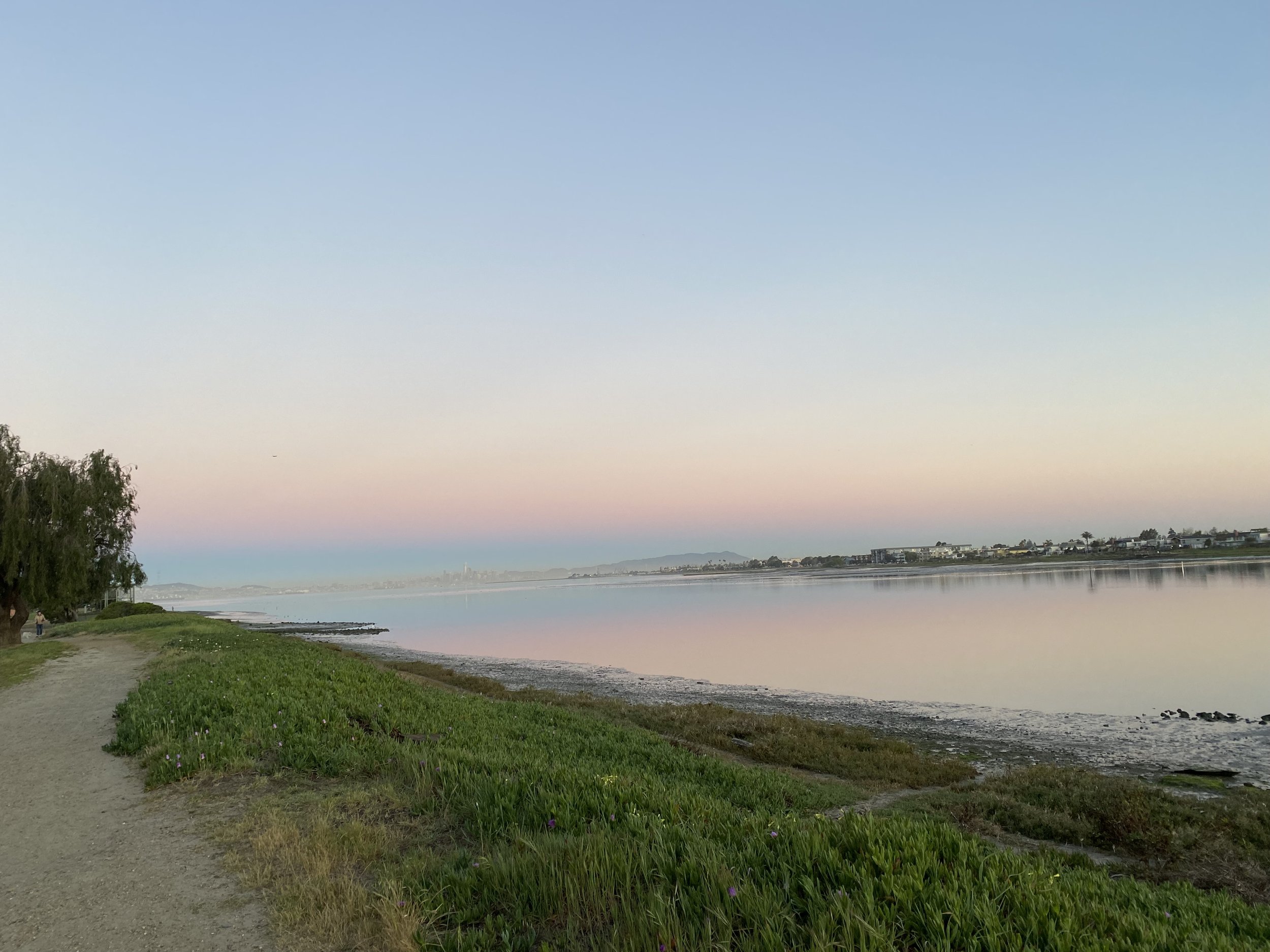 Passionate Explorers: Lifelong Learners