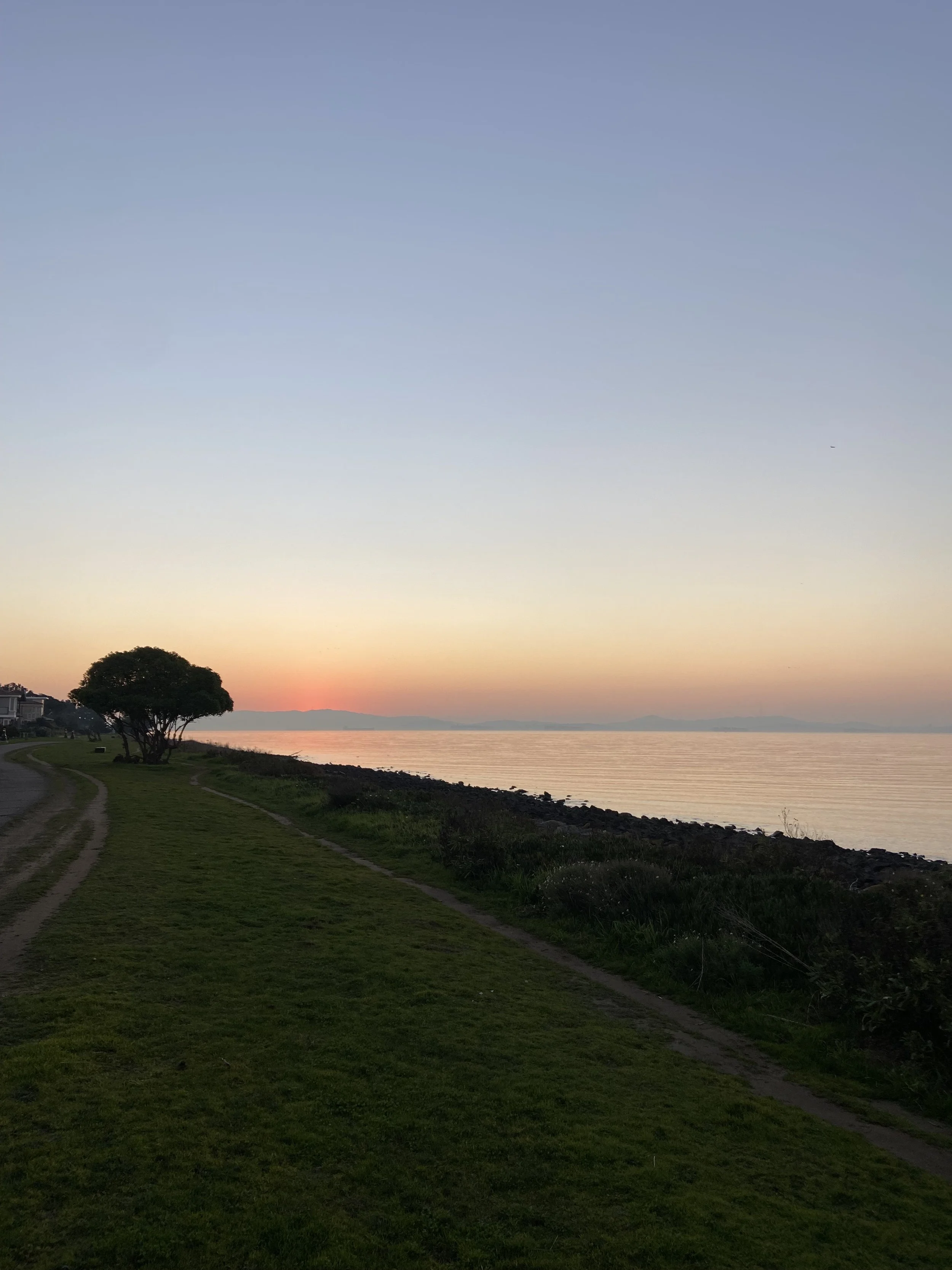 High Performing Teams: Commitment, Collaboration, Camaraderie